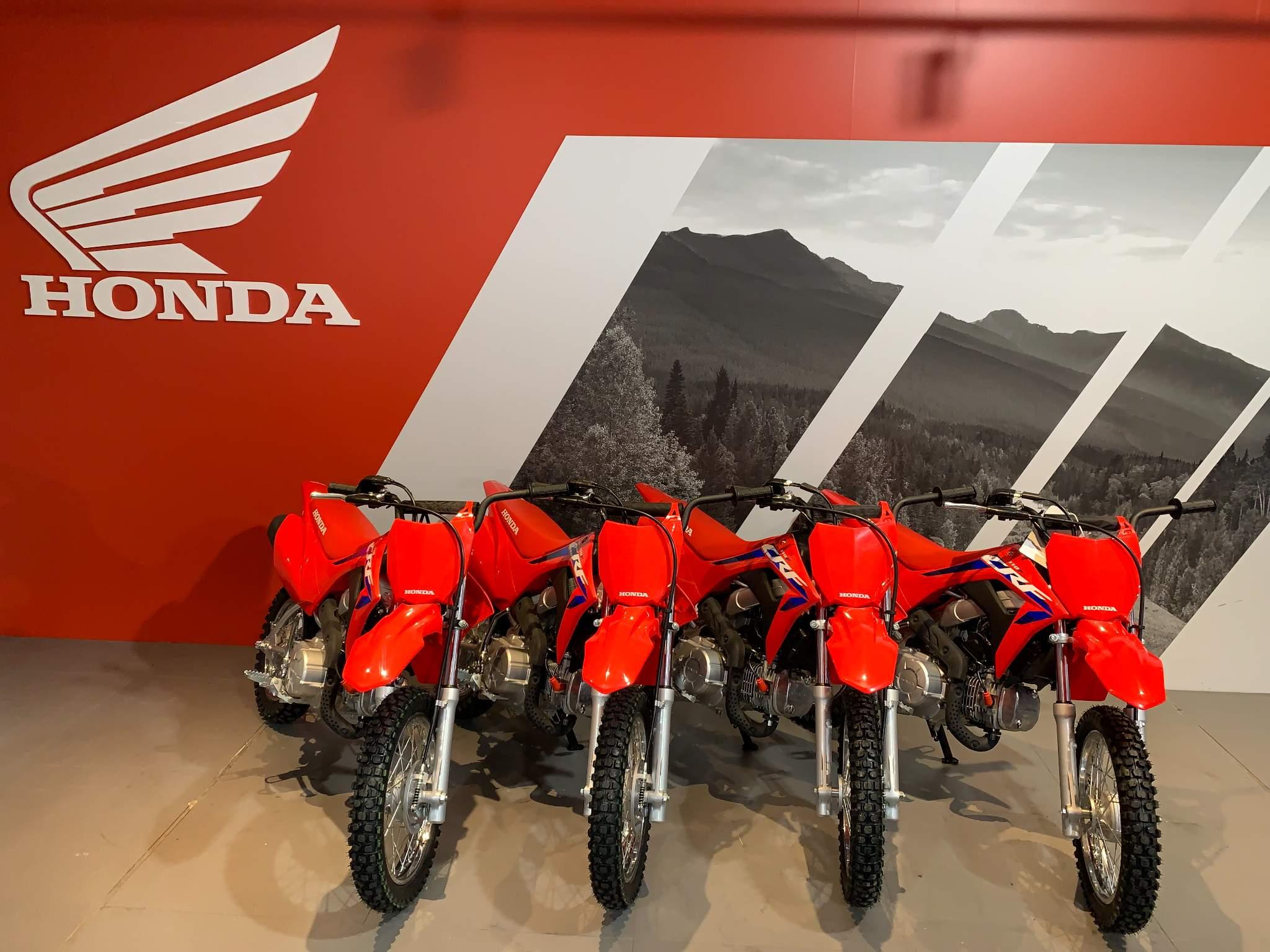 Honda CRF110F bikes for sale | AutoTrader Bikes