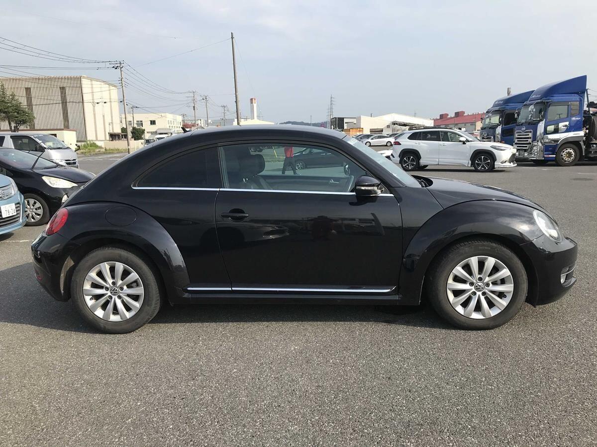 Volkswagen Beetle view 10