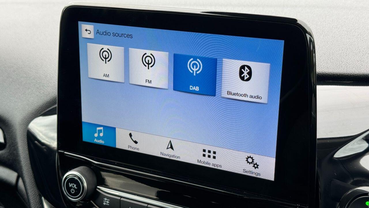 Ford Fiesta view 19