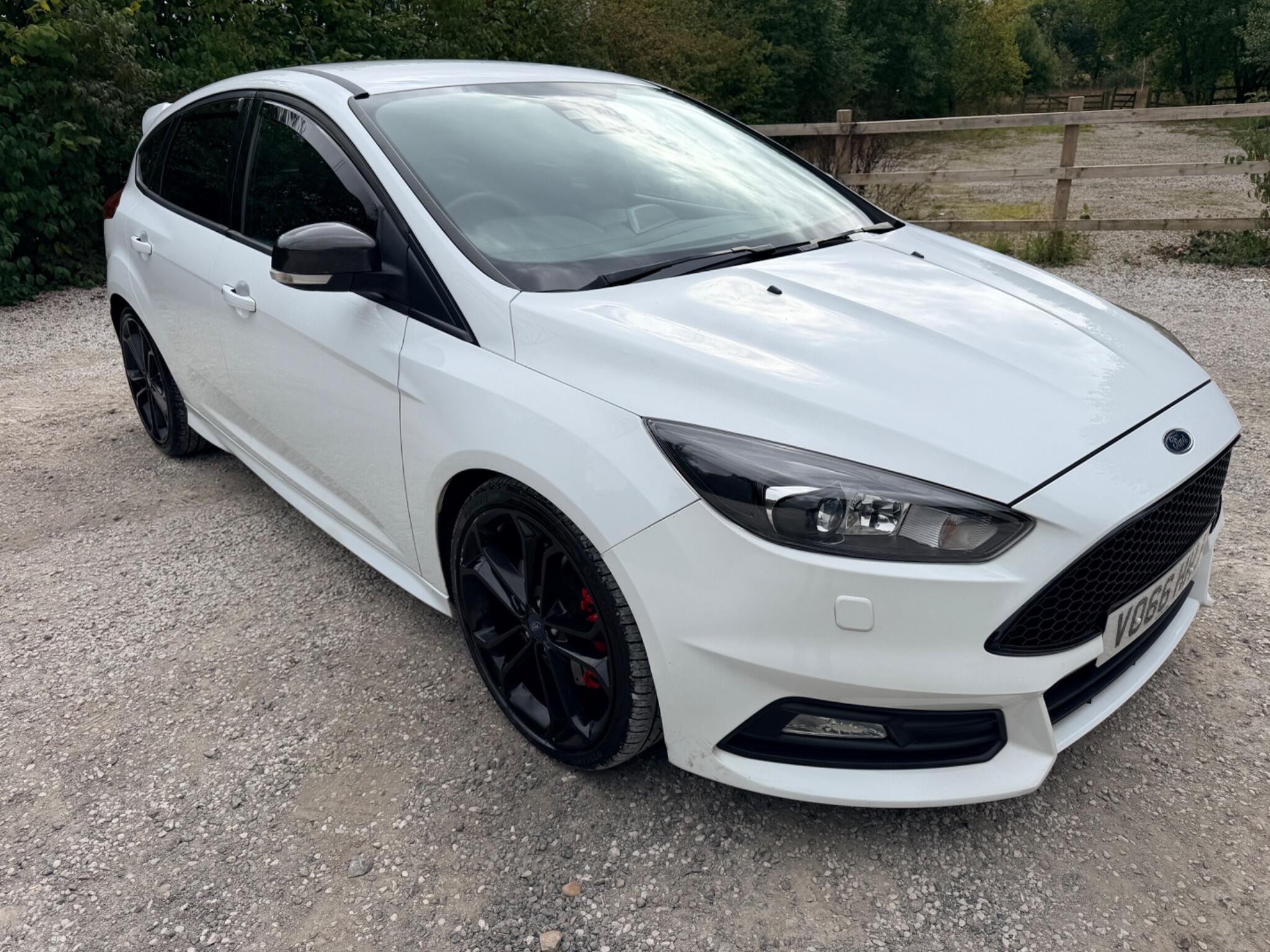 2016 Ford Focus in White for sale