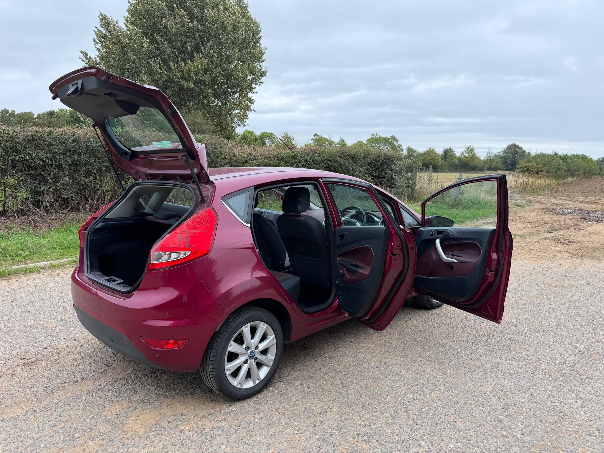 Ford Fiesta view 19