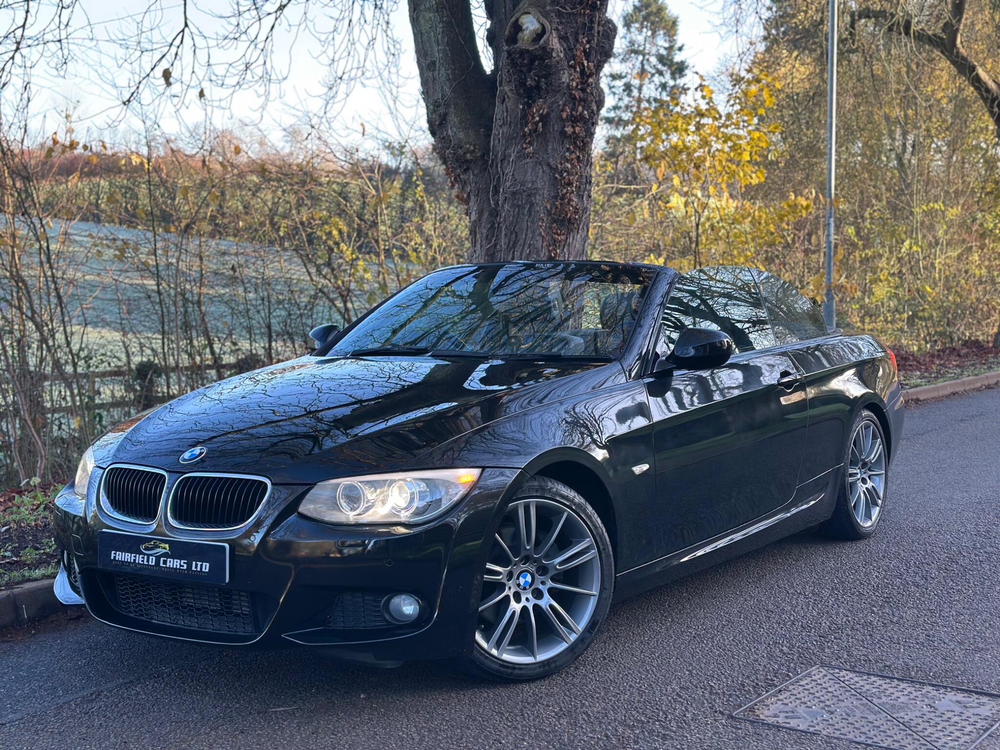 2010 BMW 3 Series image 8