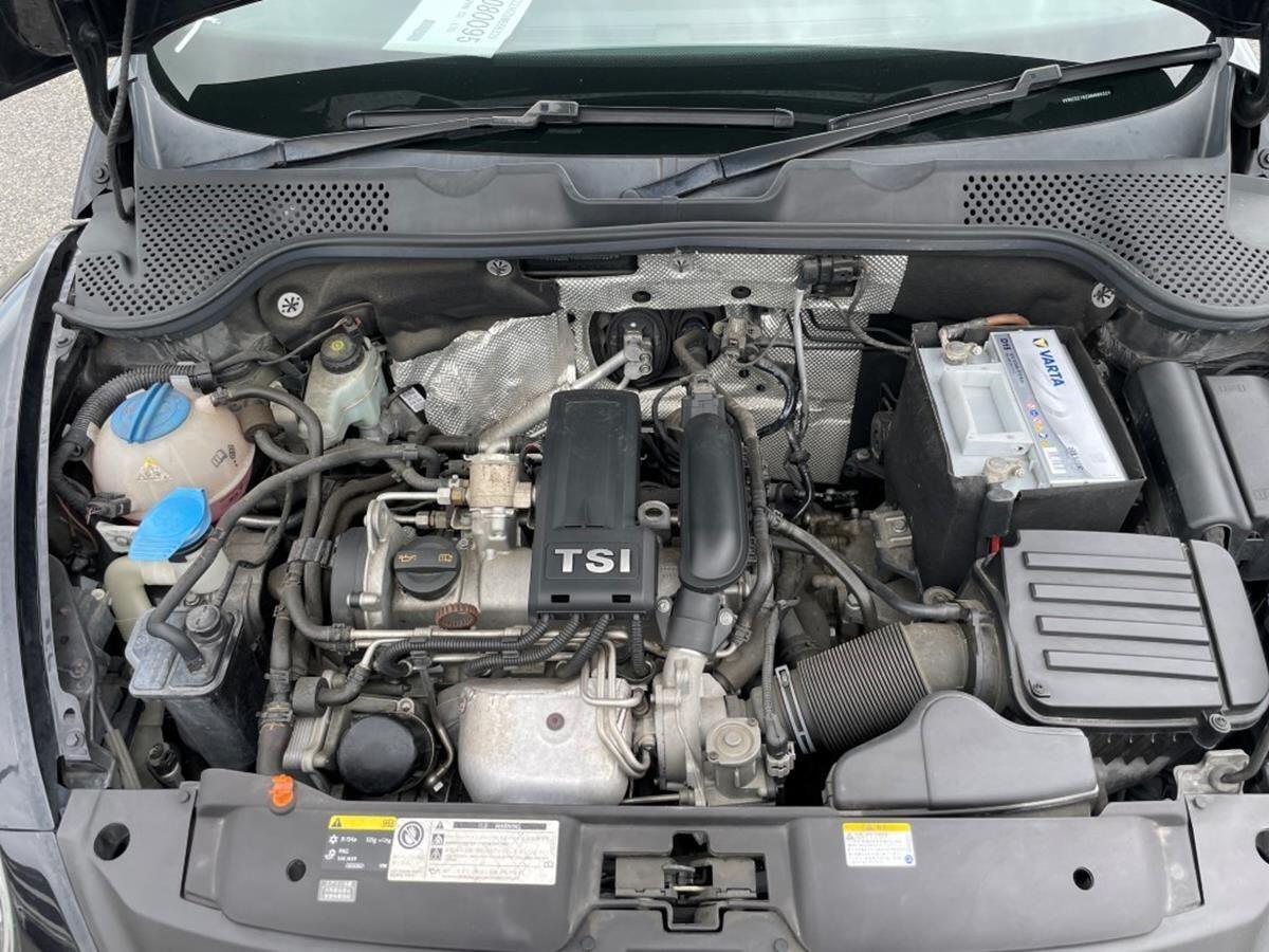 Volkswagen Beetle view 11