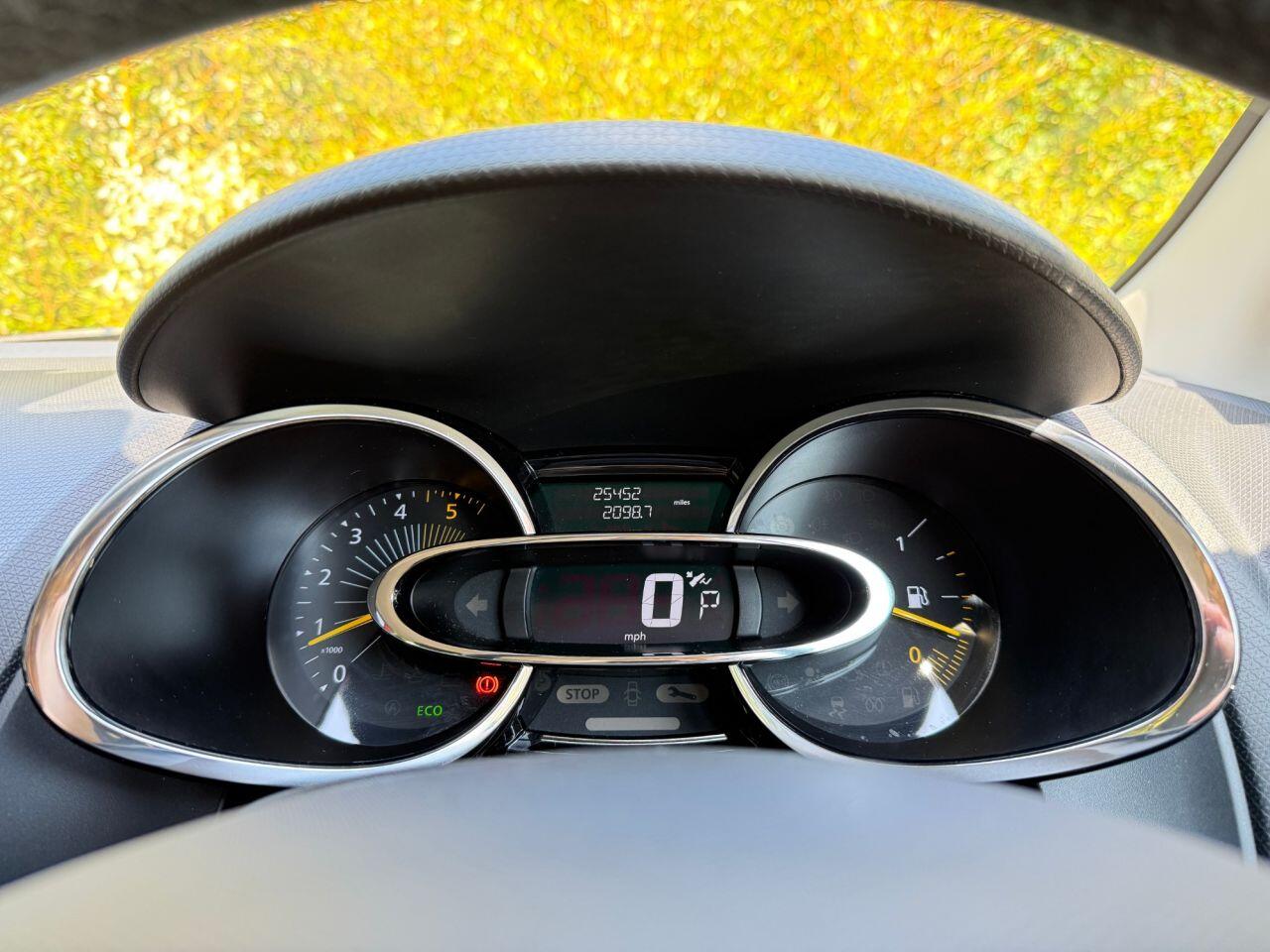 Renault Clio view 28