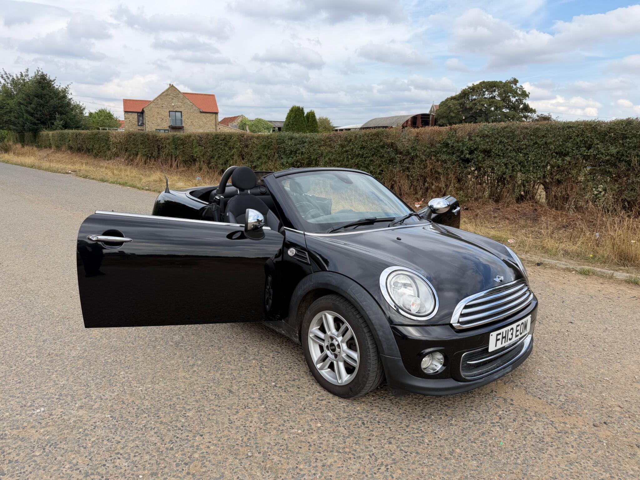 Mini Roadster view 18