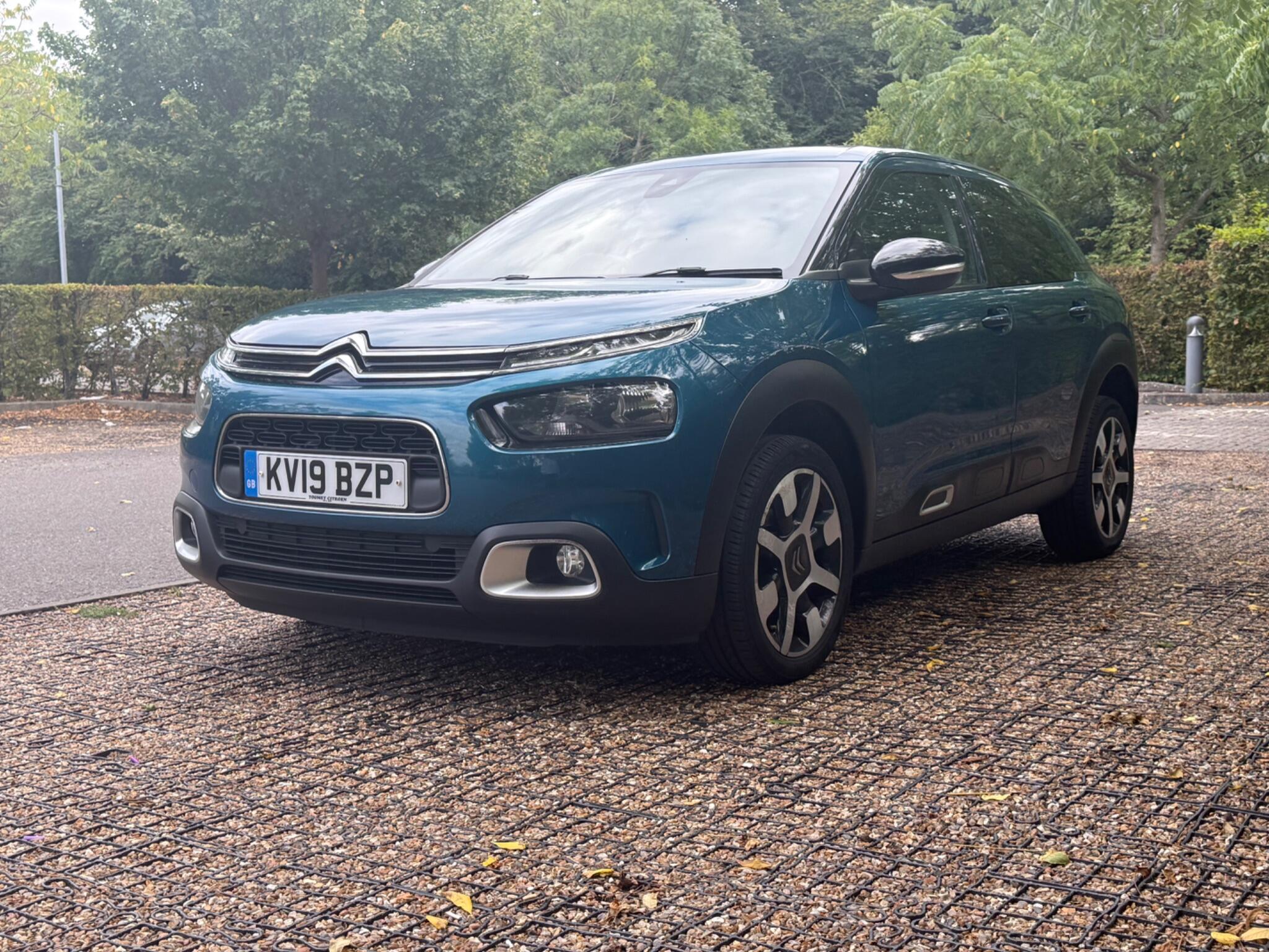 Citroen C4 Cactus view 19