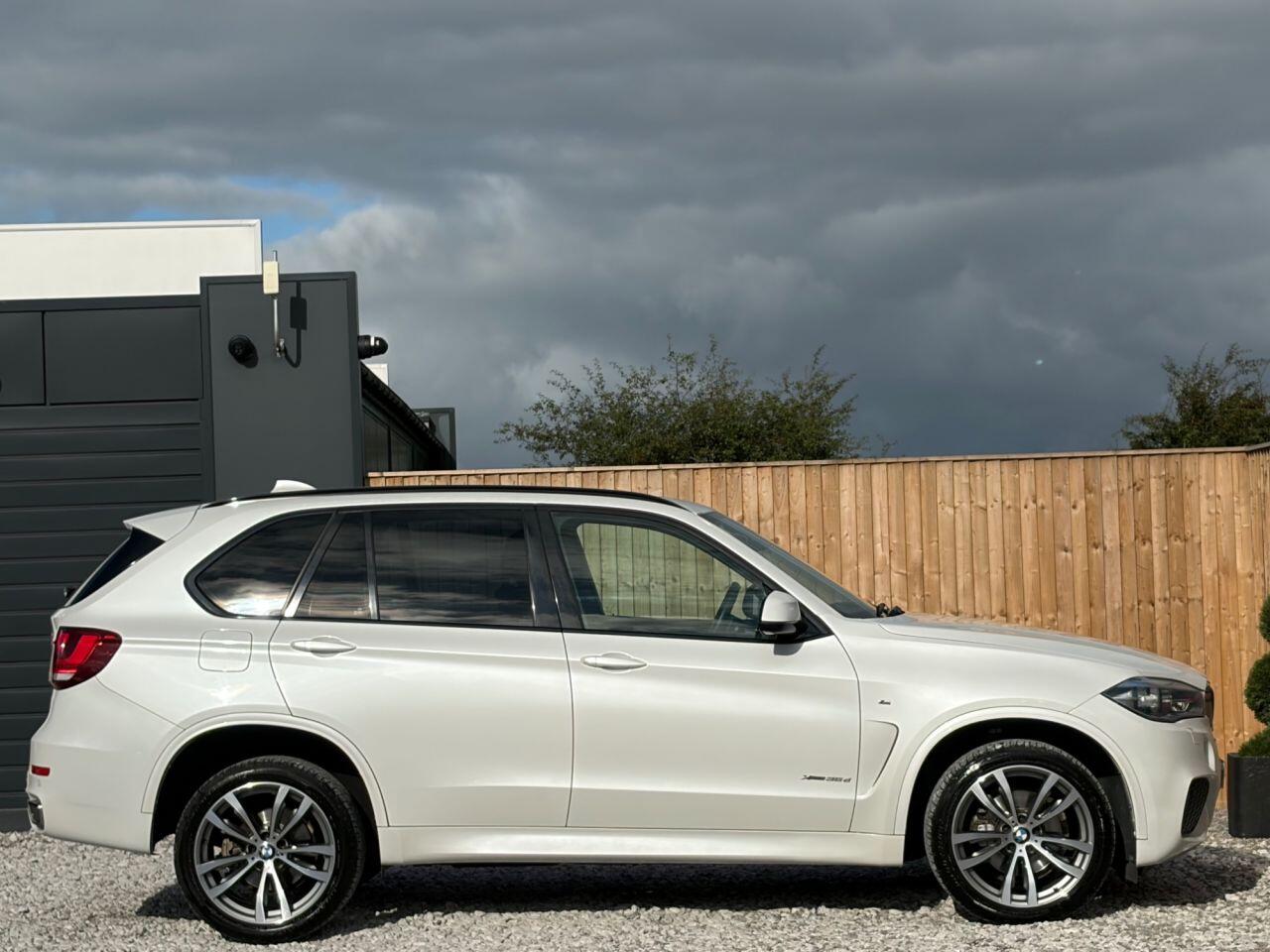 BMW X5 view 11