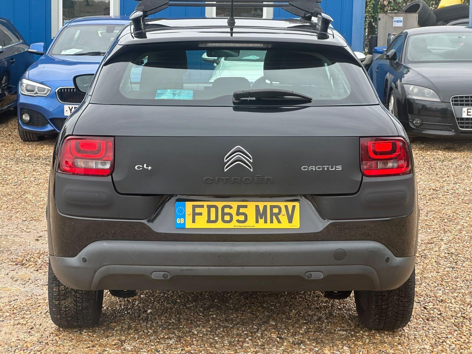 Citroen C4 Cactus view 22