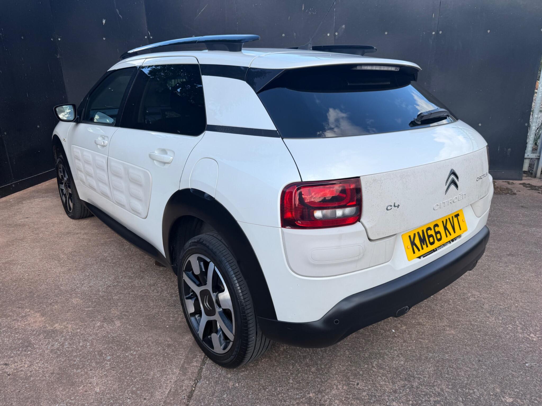 Citroen C4 Cactus view 15