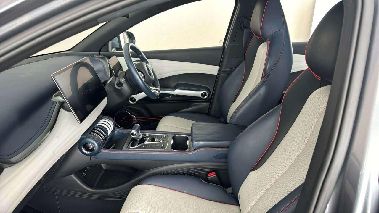 Byd Atto 3 view 19