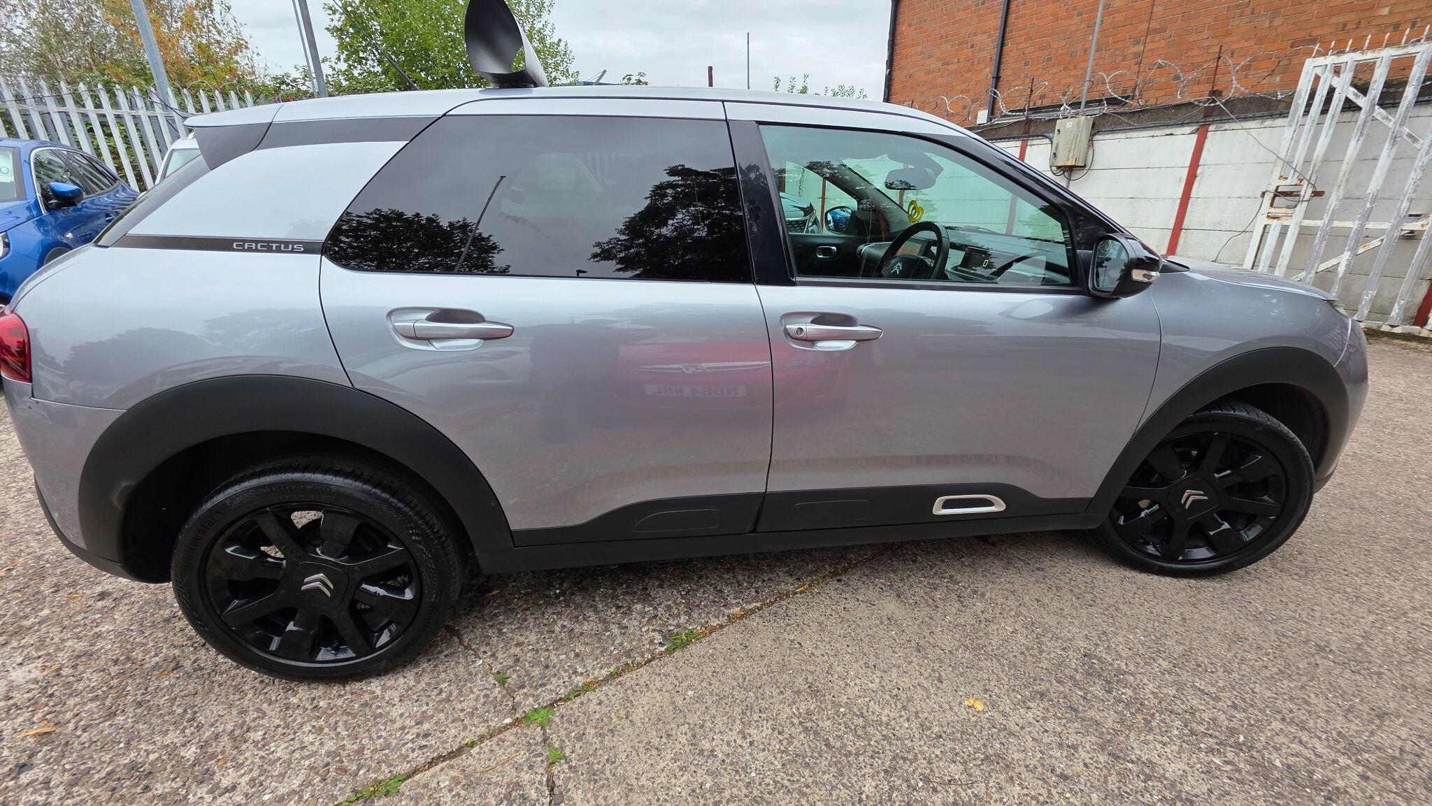 Citroen C4 Cactus view 18