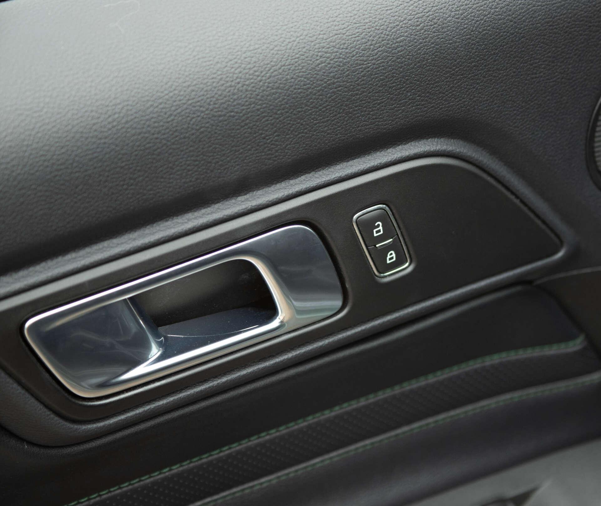 Ford Mustang view 33