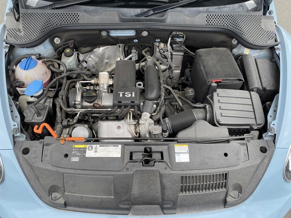 Volkswagen Beetle view 12
