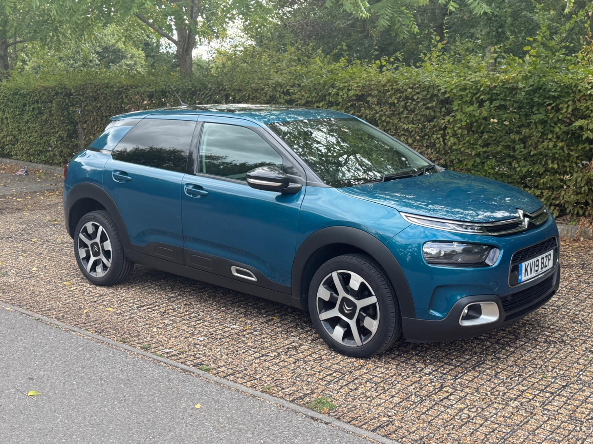 Citroen C4 Cactus view 10