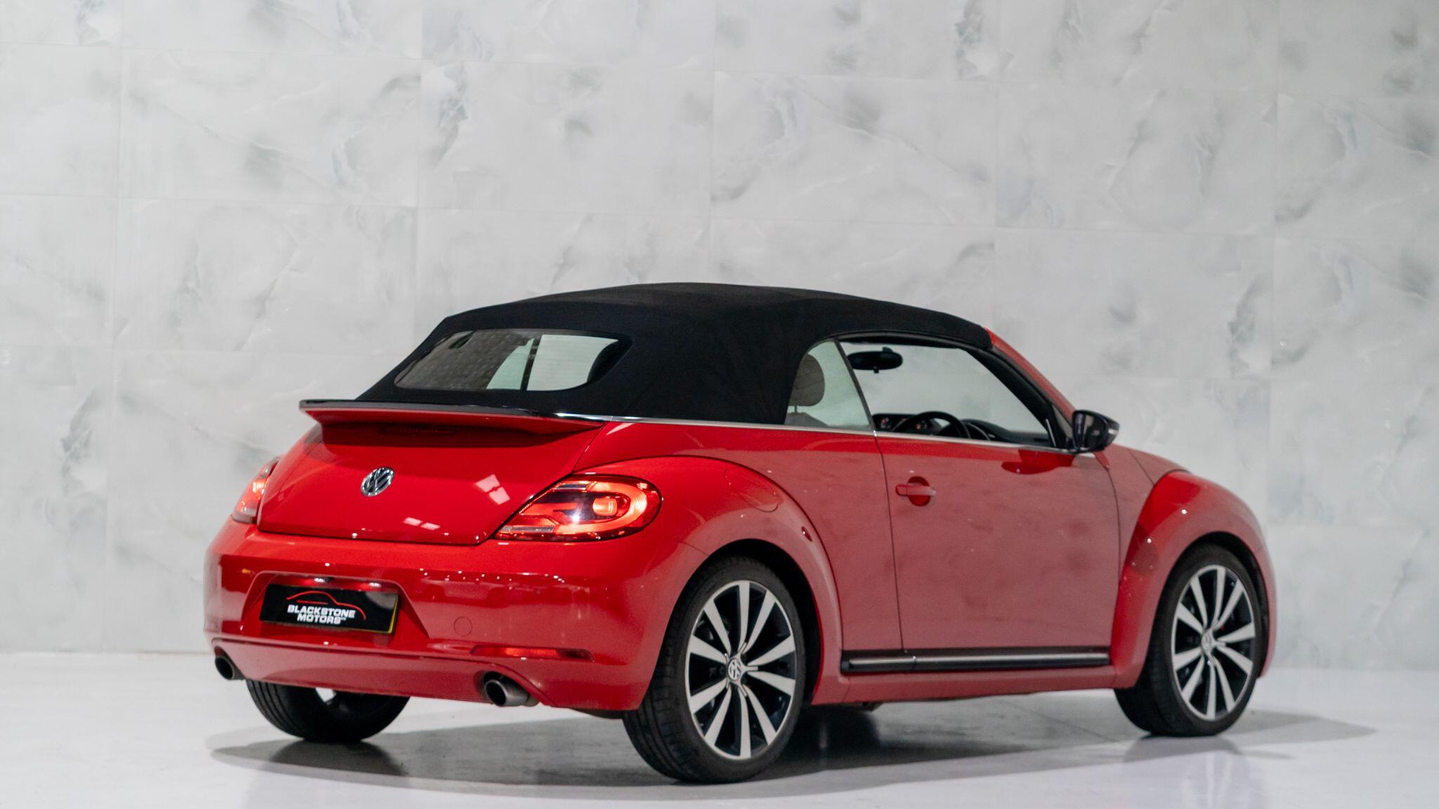 Volkswagen Beetle view 14