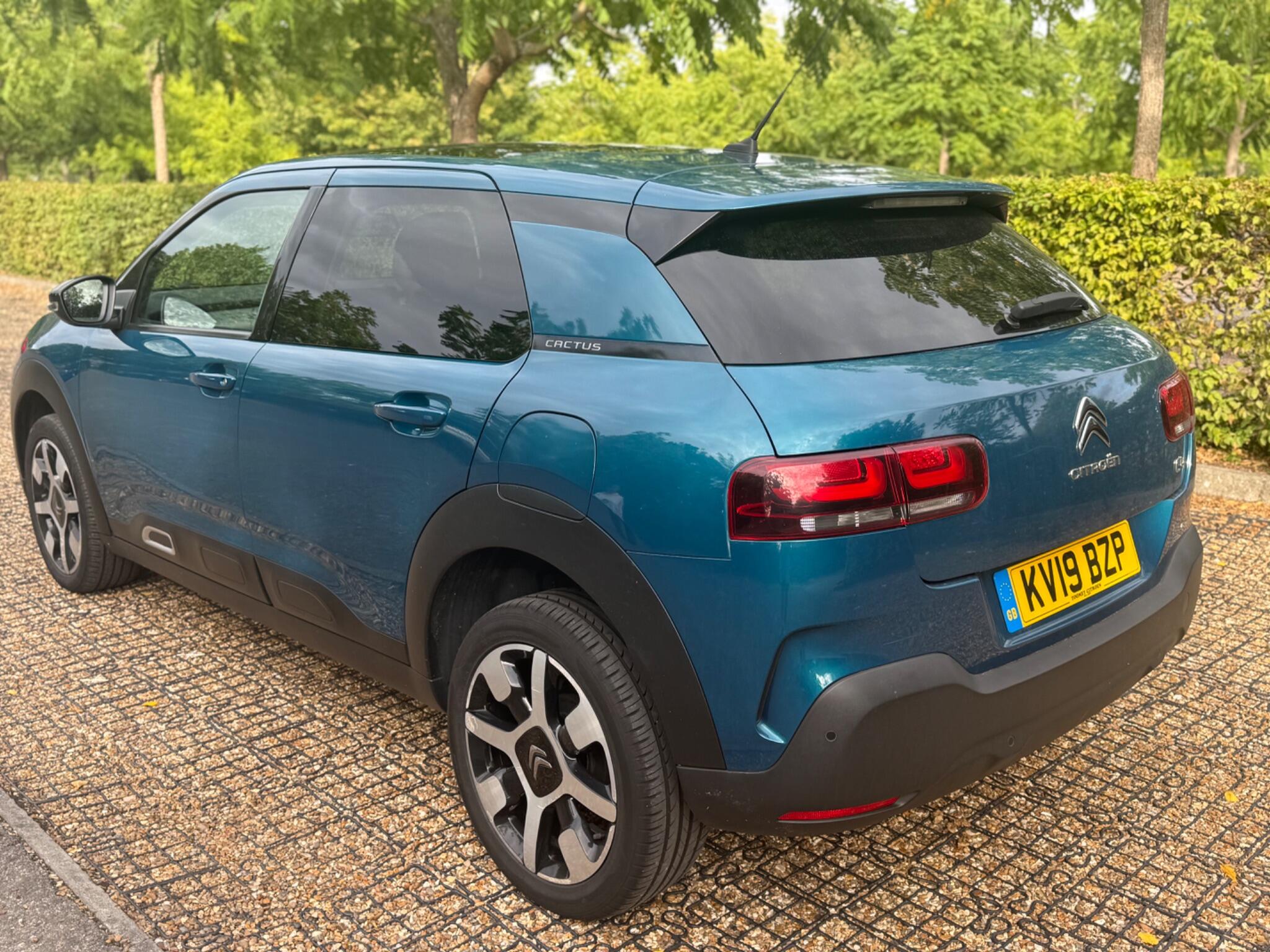 Citroen C4 Cactus view 4