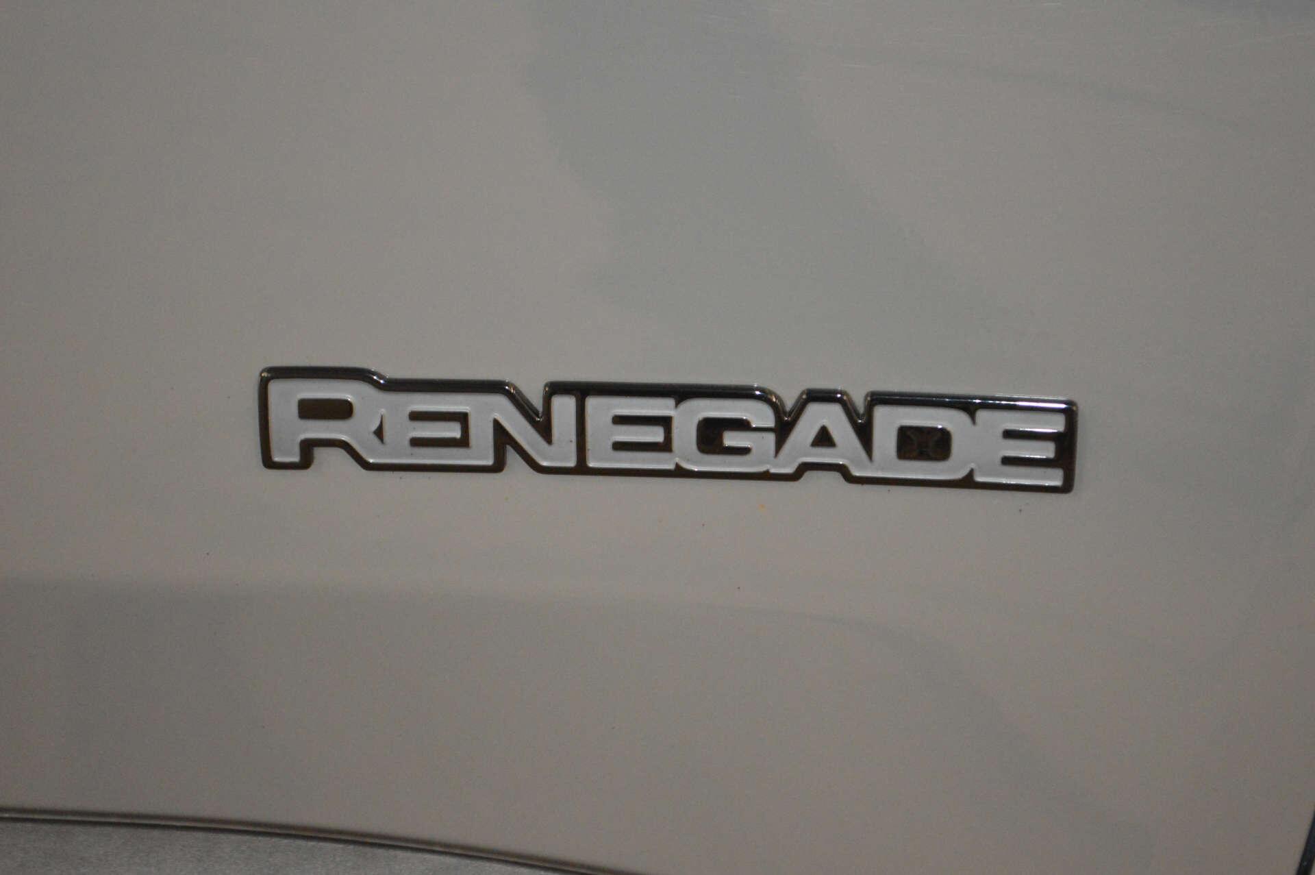 Jeep Renegade view 50