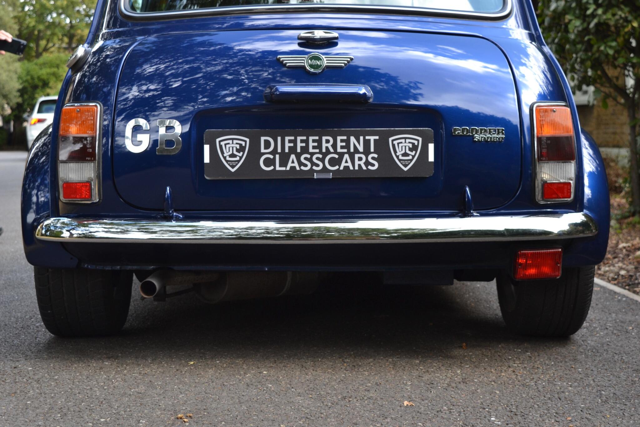 Rover Mini view 54