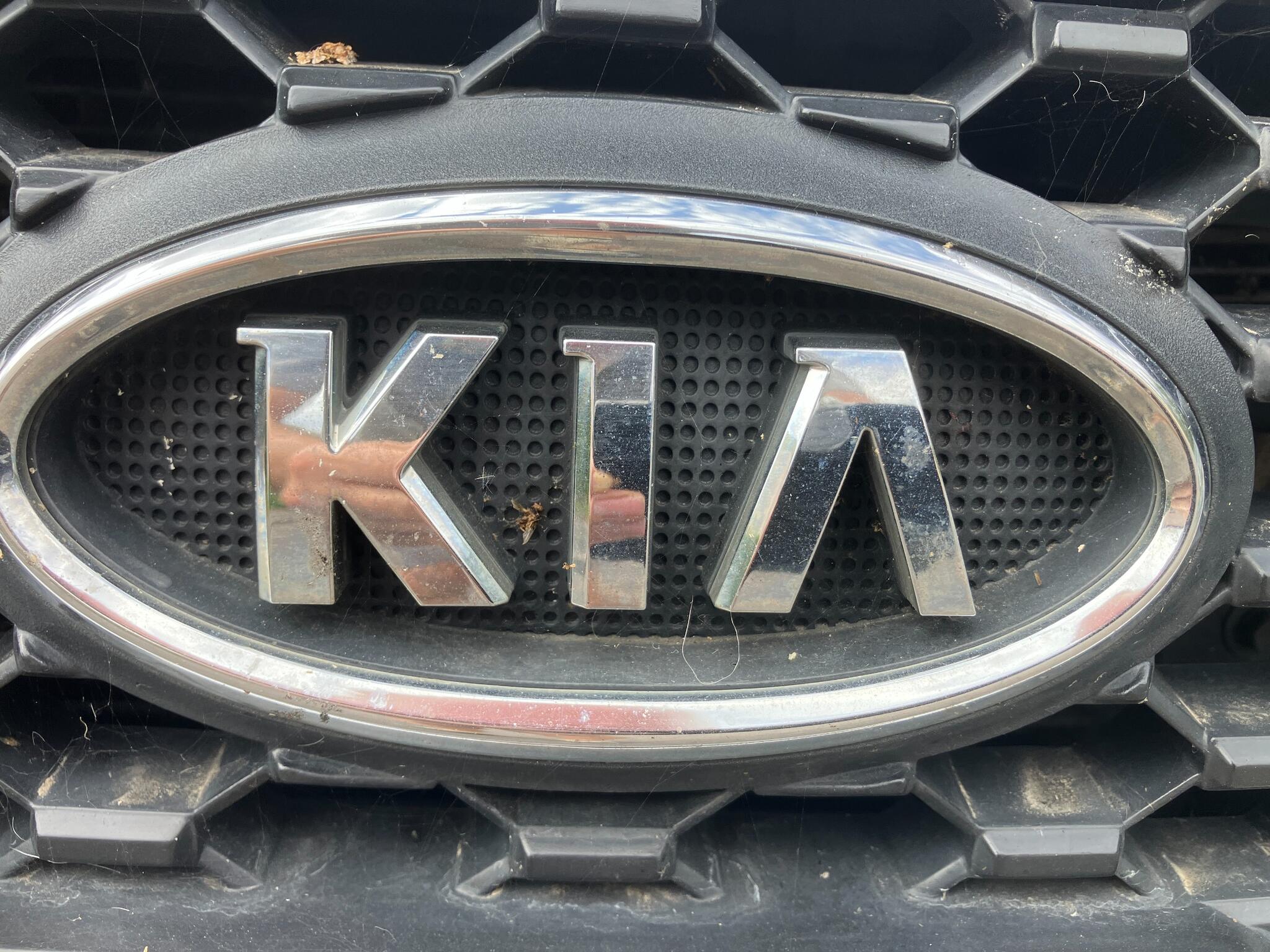 Kia Sorento view 29