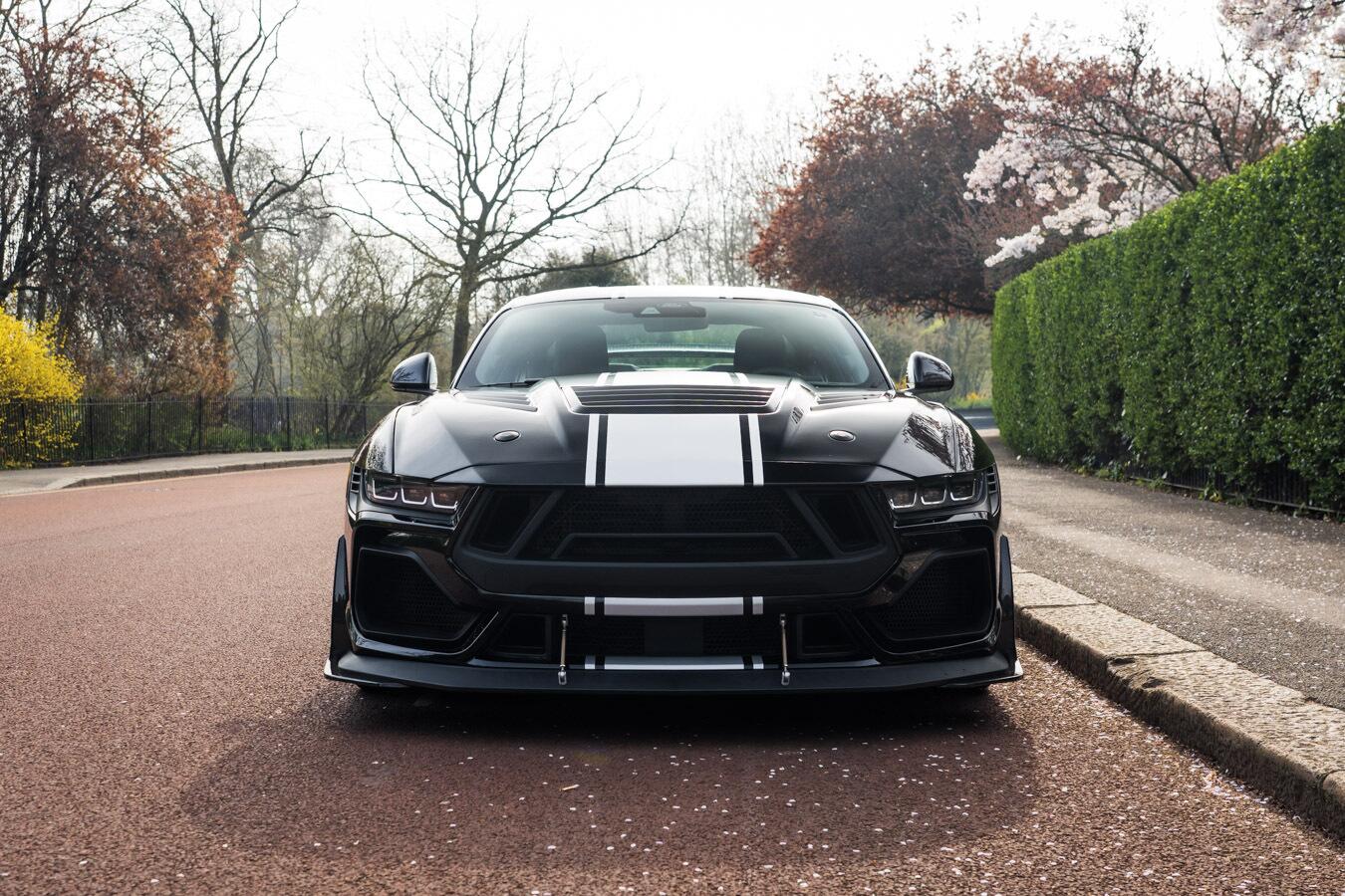 Ford Mustang view 2
