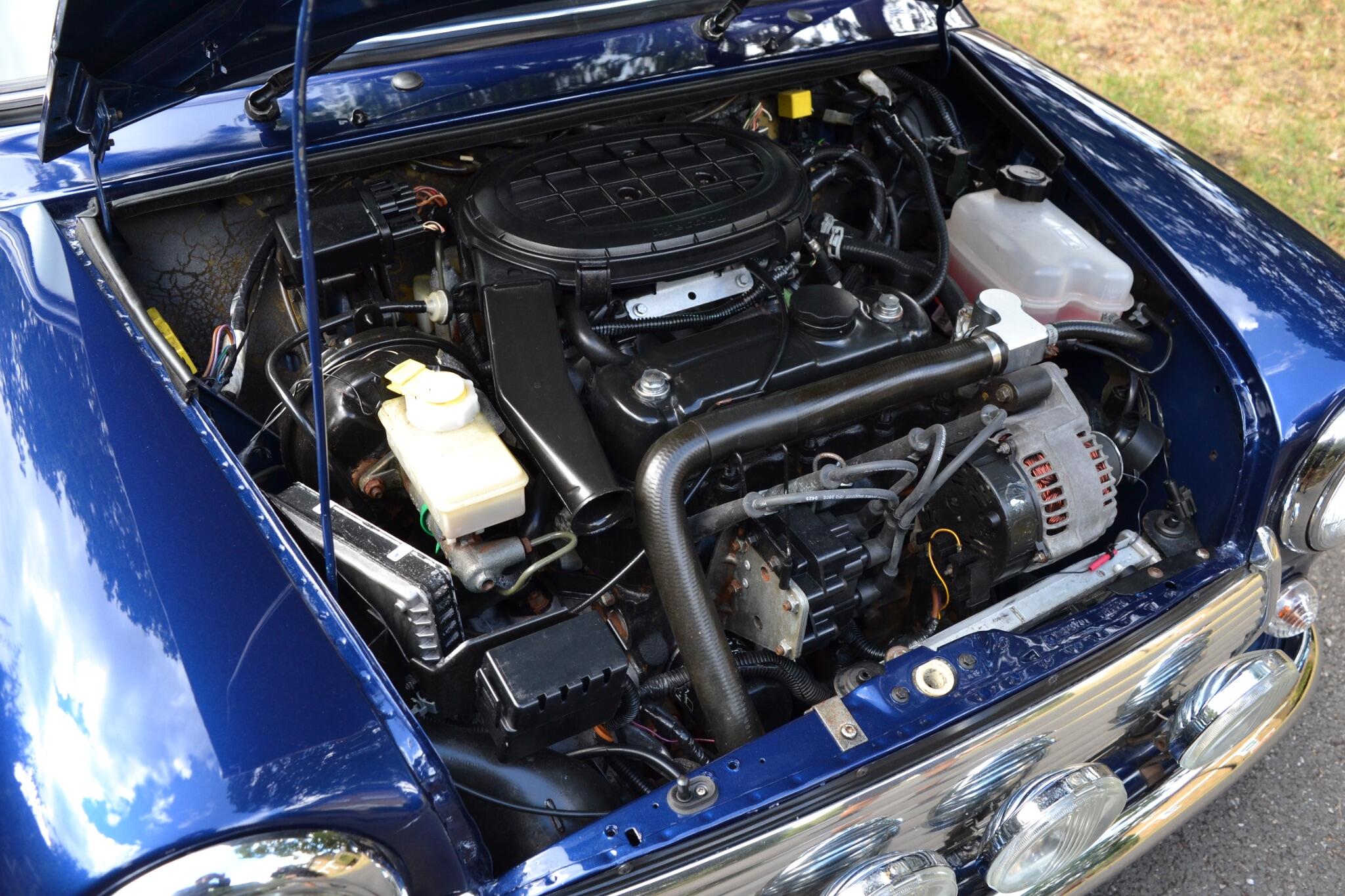 Rover Mini view 49