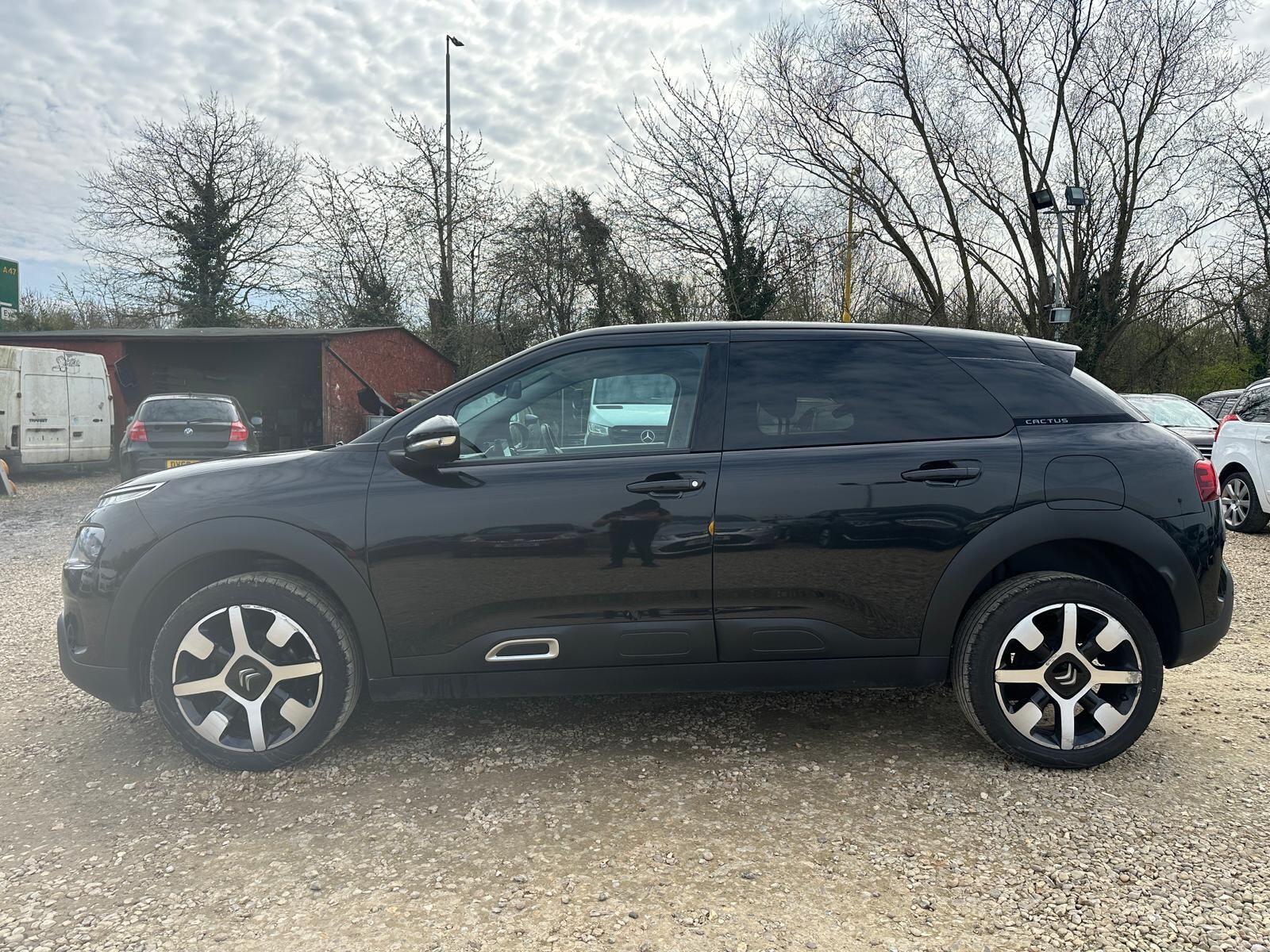 Citroen C4 Cactus view 6