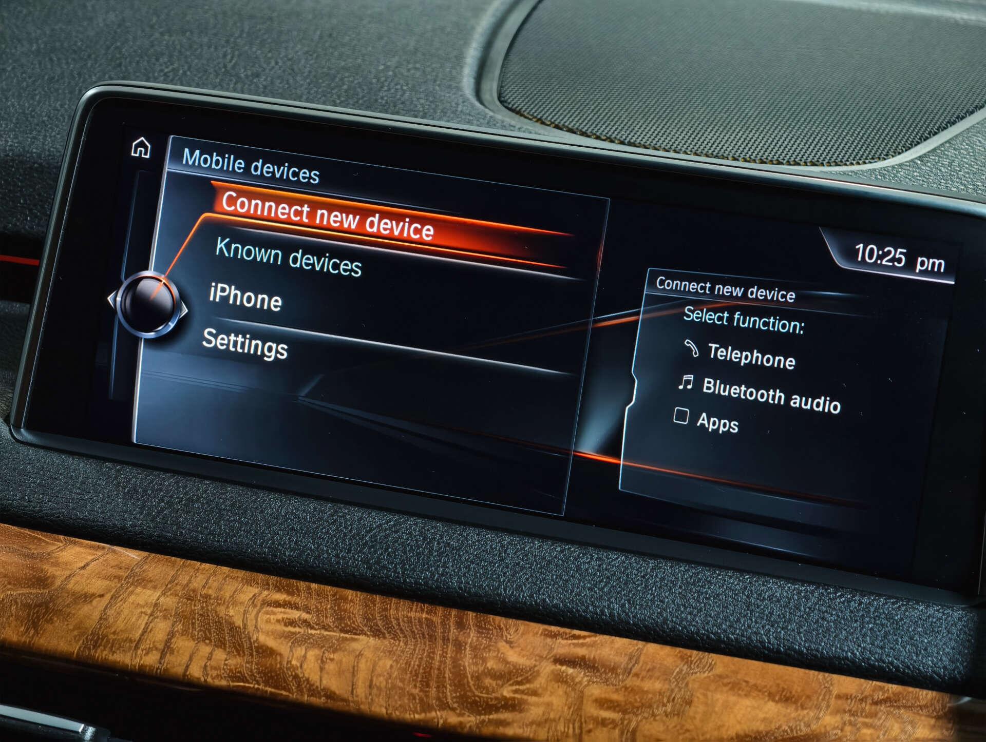 BMW X5 X5 view 42