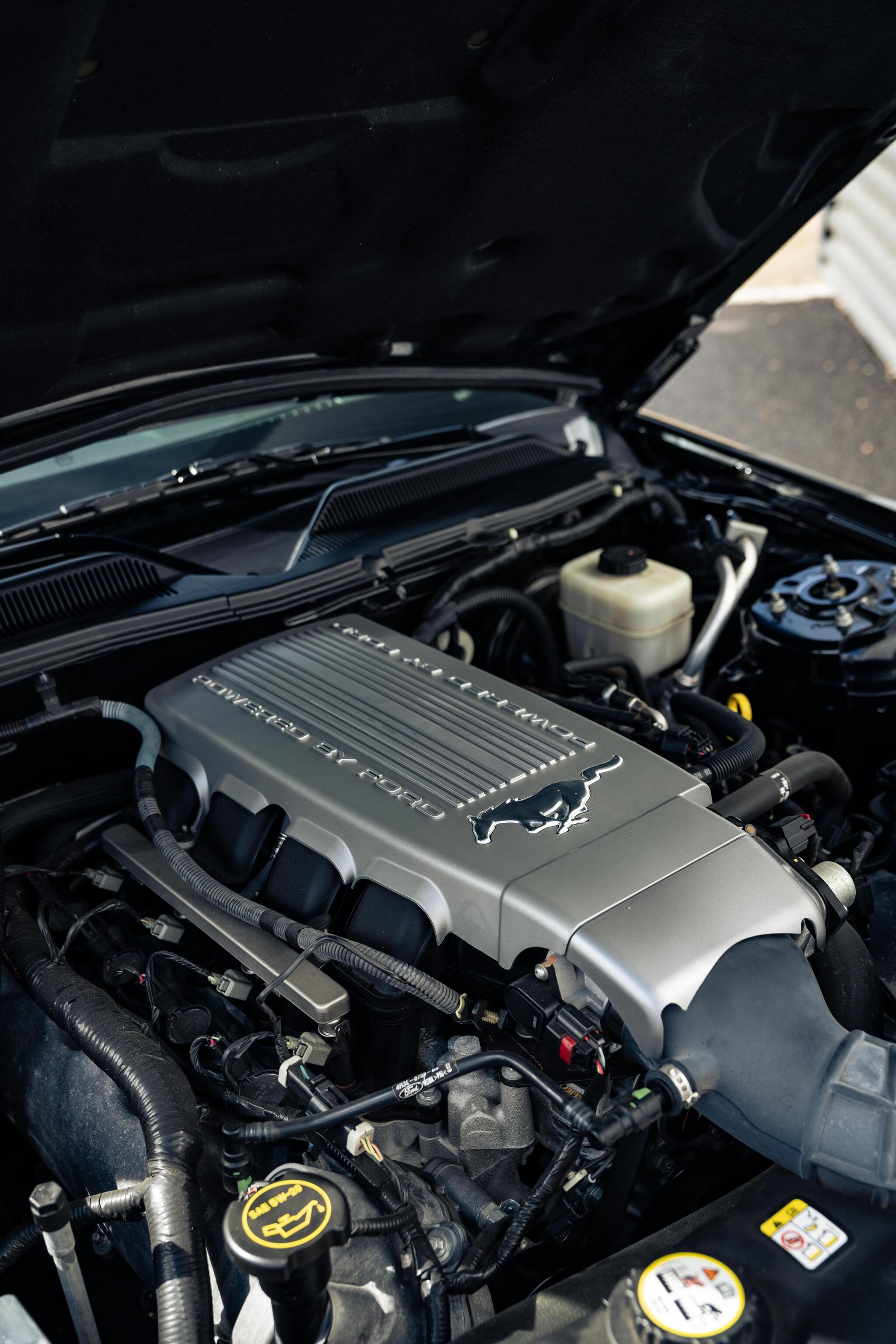 Ford Mustang view 13
