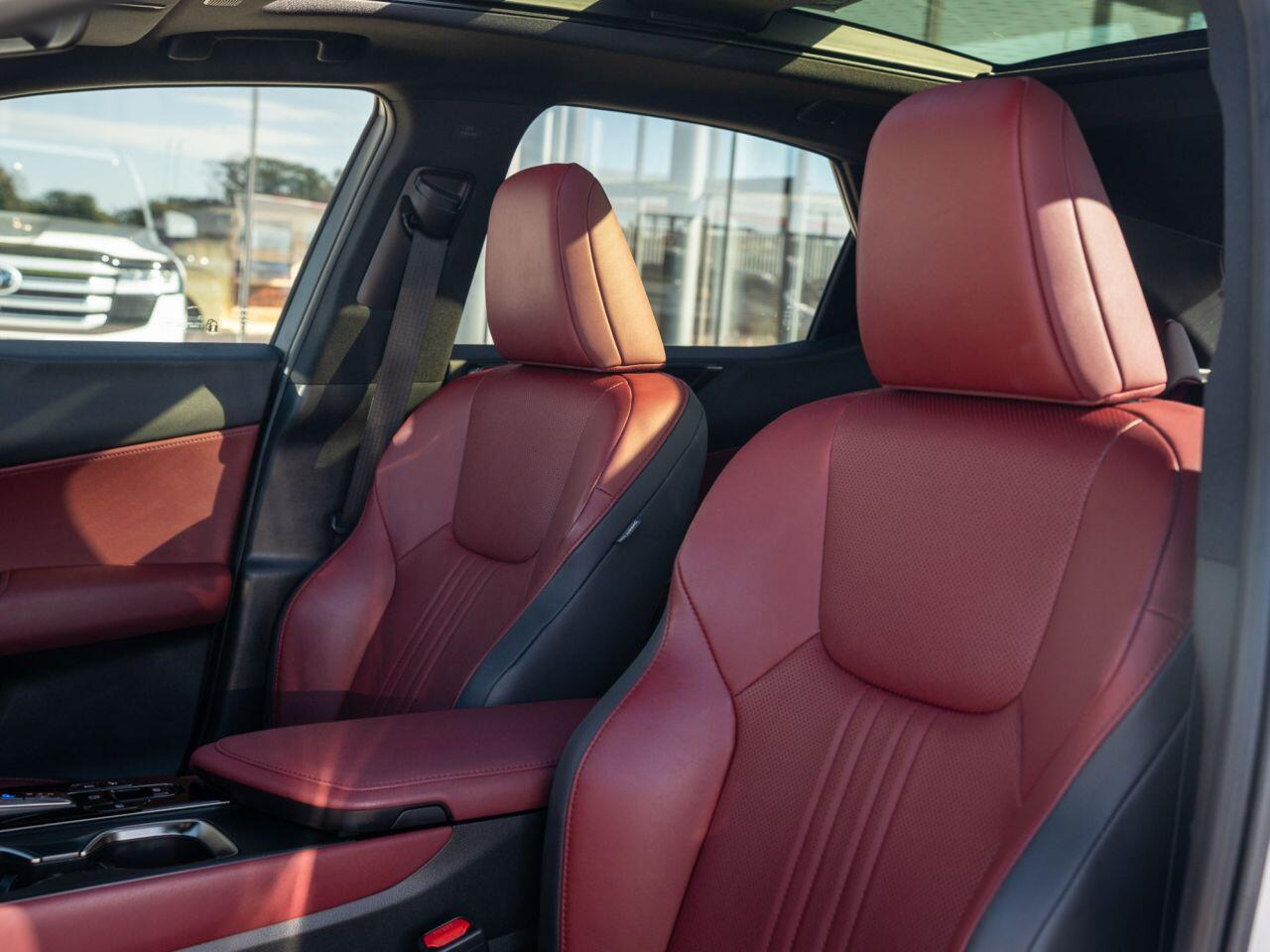 Lexus NX view 14
