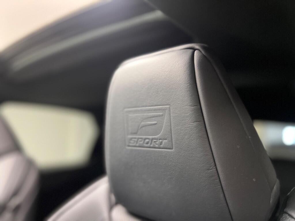 Lexus NX view 23