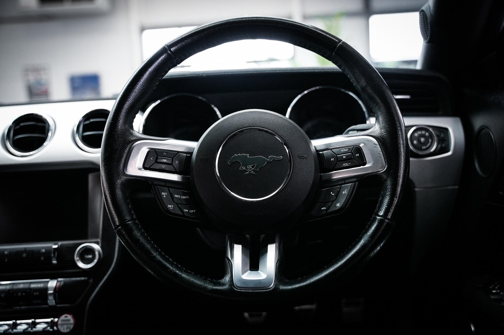 Ford Mustang view 19