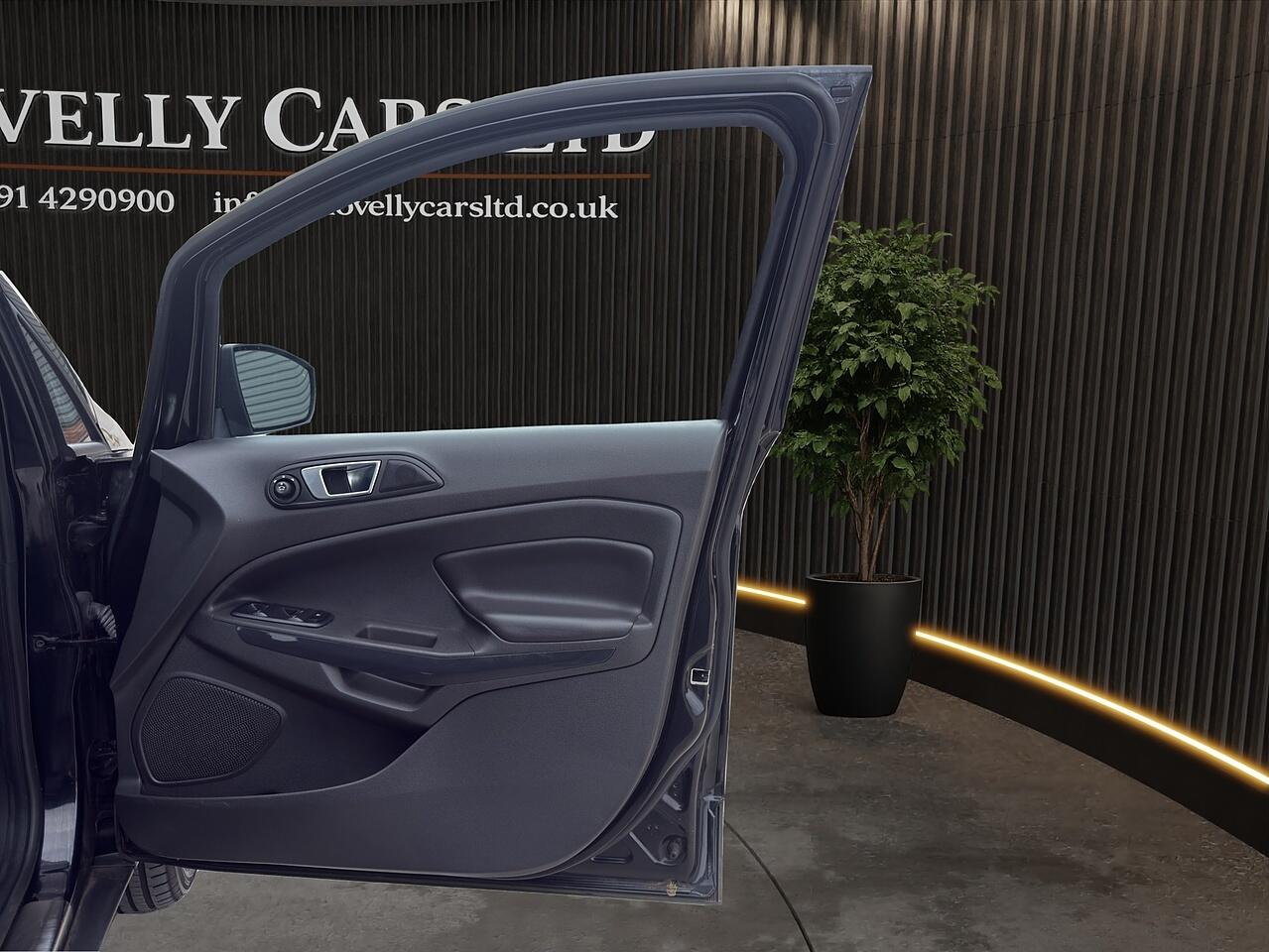 Ford Ecosport view 18