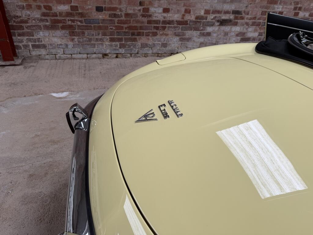 Jaguar E-Type view 20