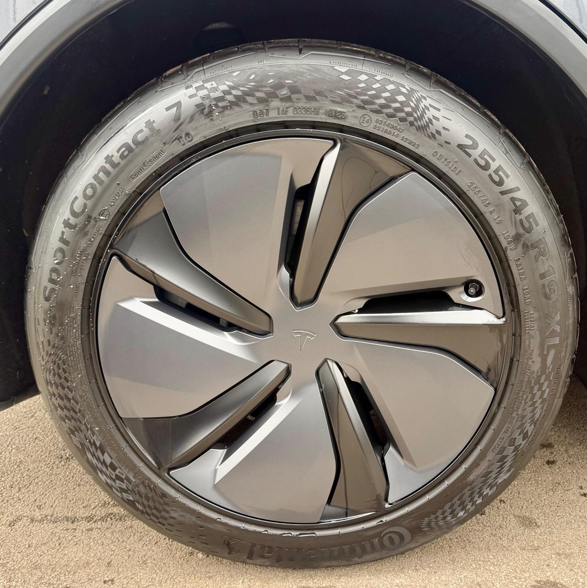 Tesla Model Y view 19