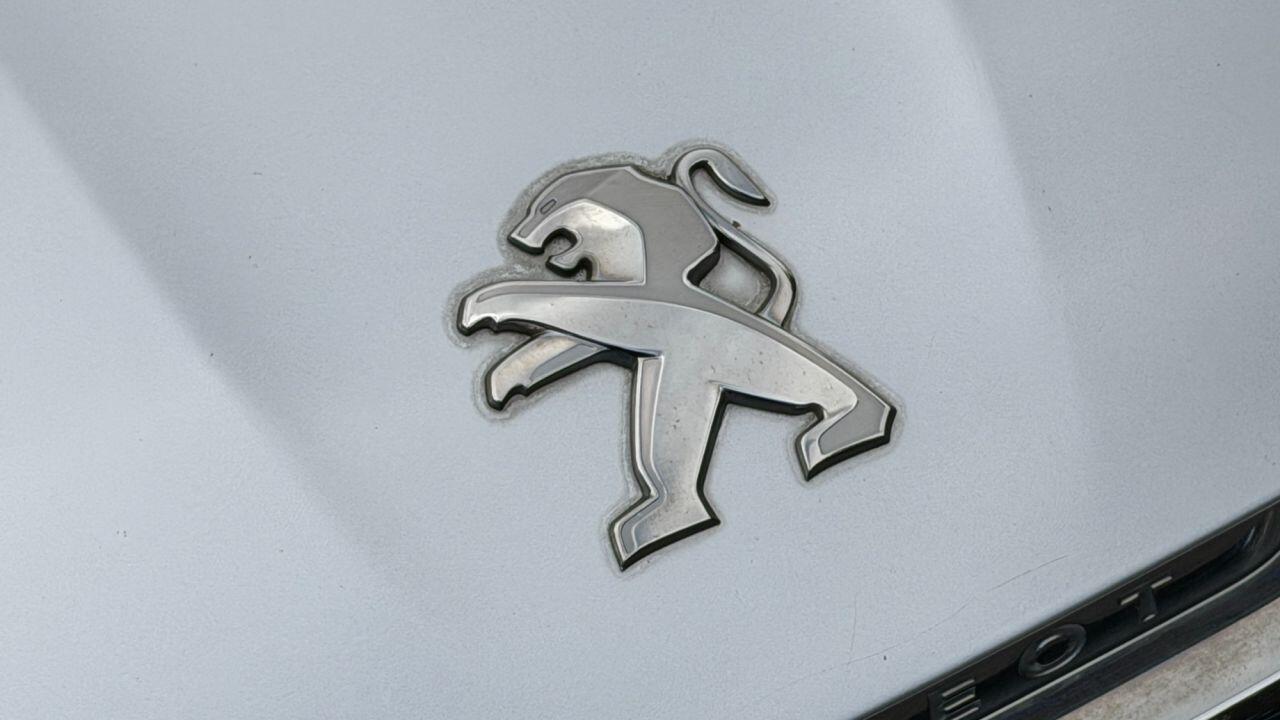 Peugeot 308 view 39