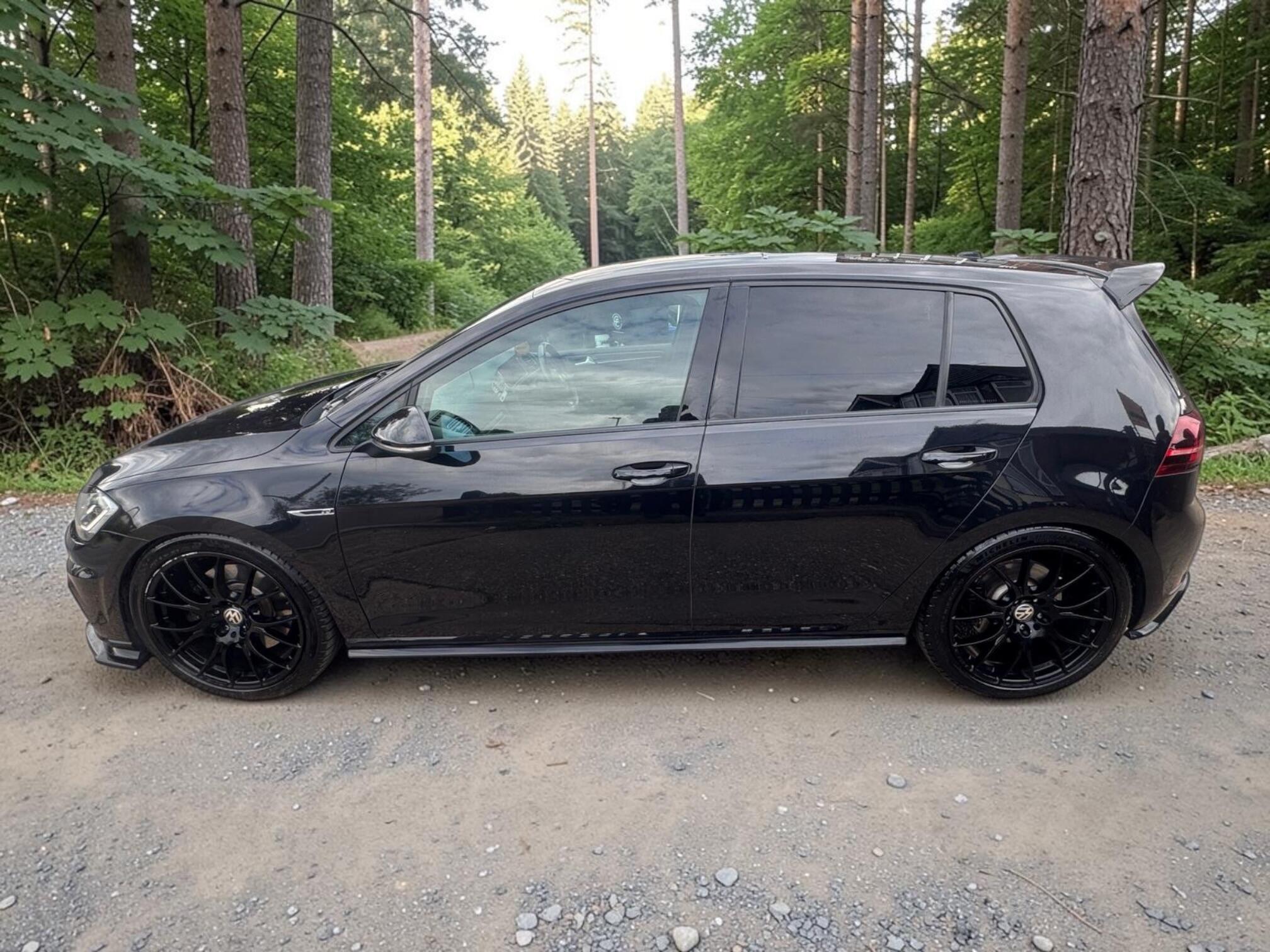 Volkswagen Golf view 11