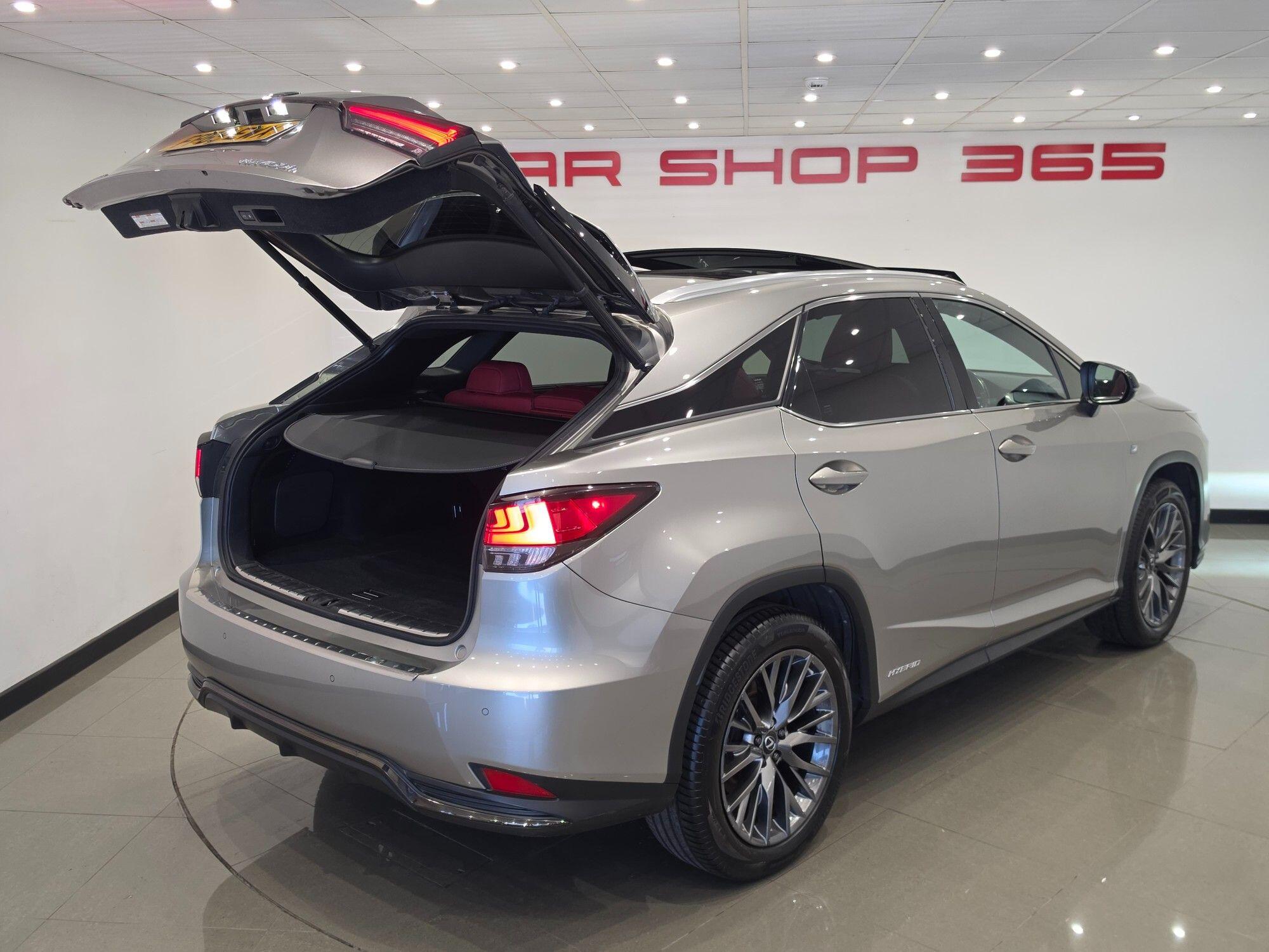 Lexus RX view 51