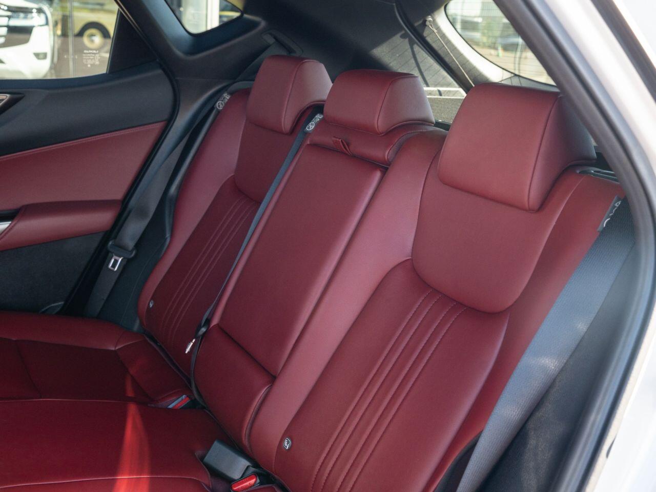 Lexus NX view 16