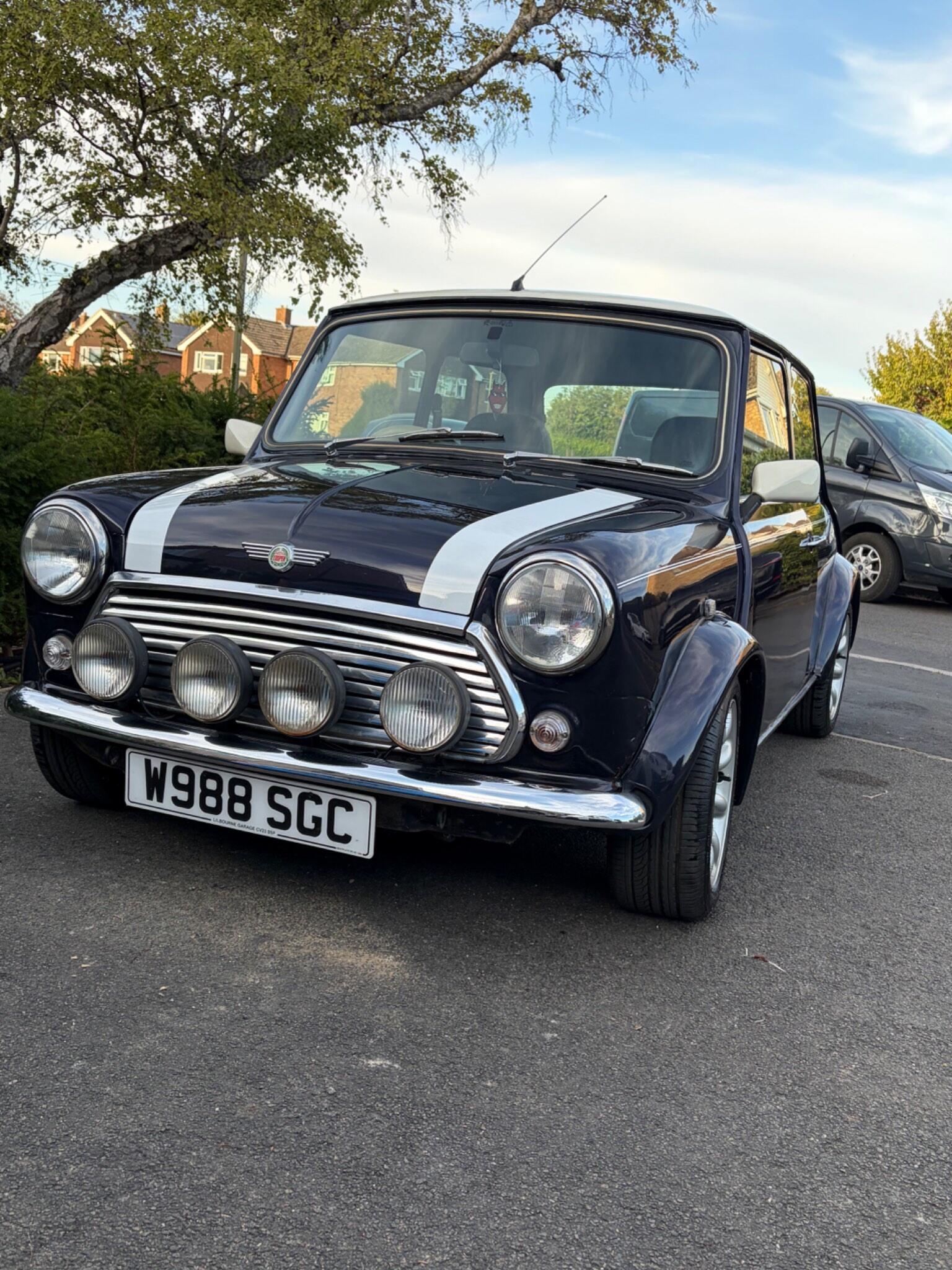 Rover Mini