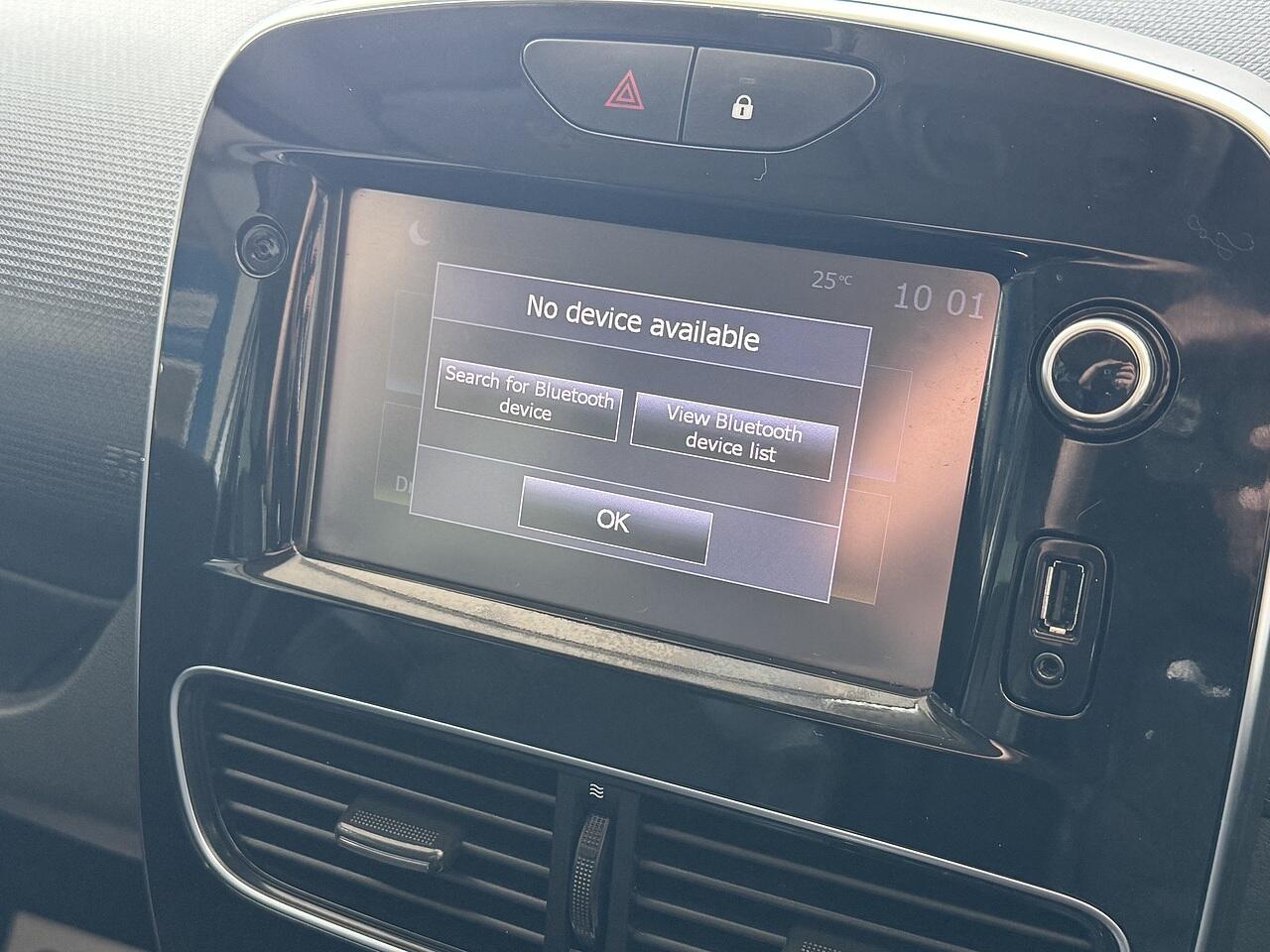 Renault Clio view 19