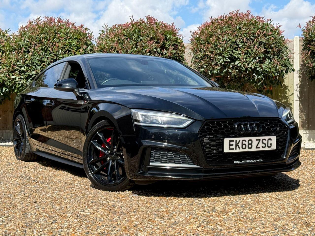 Audi Audi S5 view 27