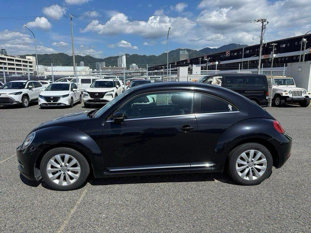 Volkswagen Beetle view 6