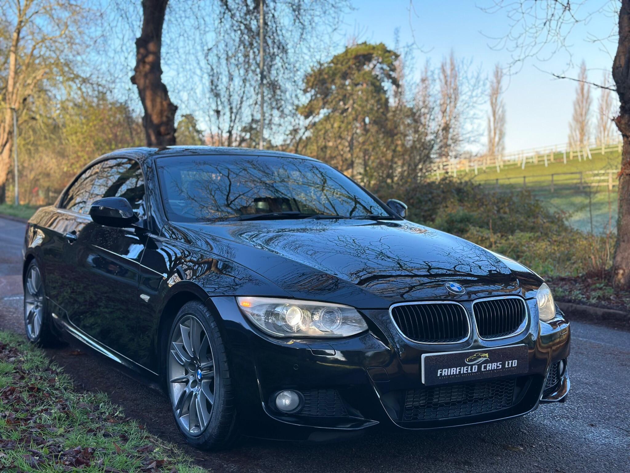 2010 BMW 3 Series image 19
