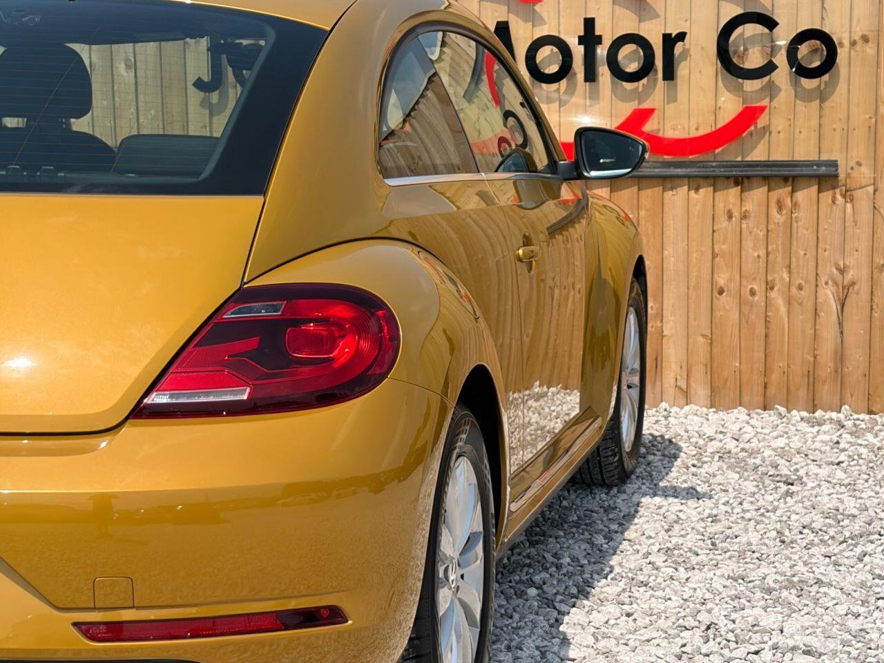Volkswagen Beetle view 8