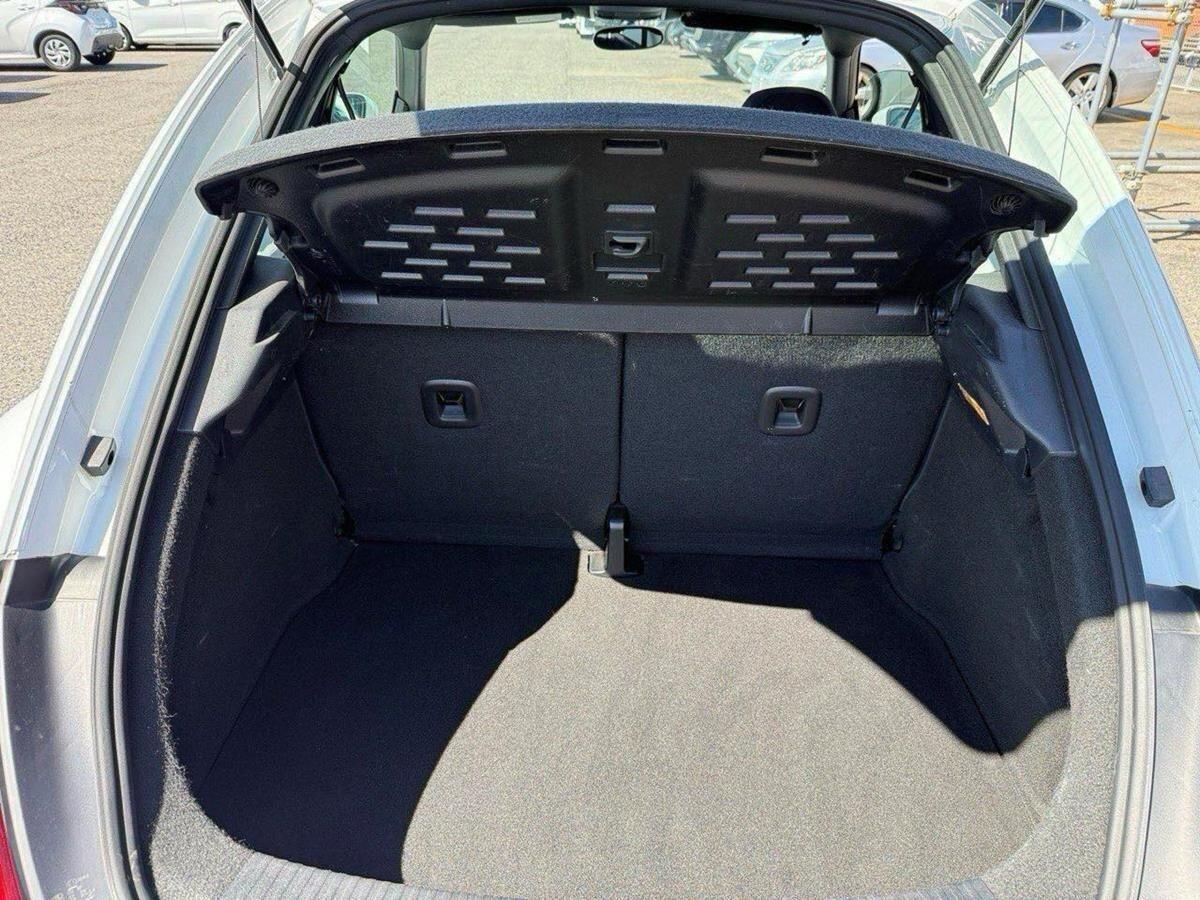 Volkswagen Beetle view 16