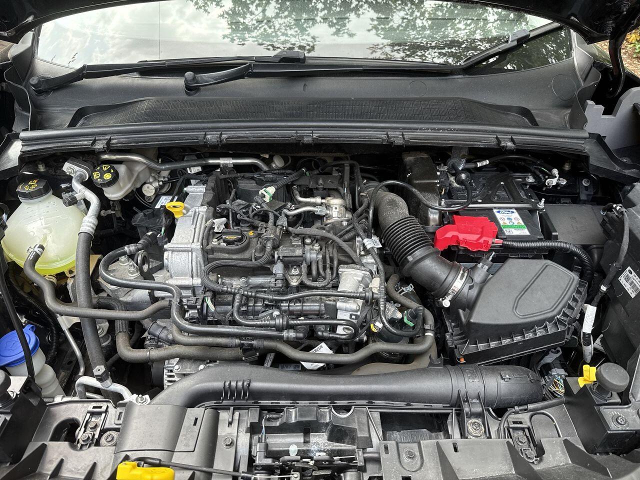 Ford Puma view 27