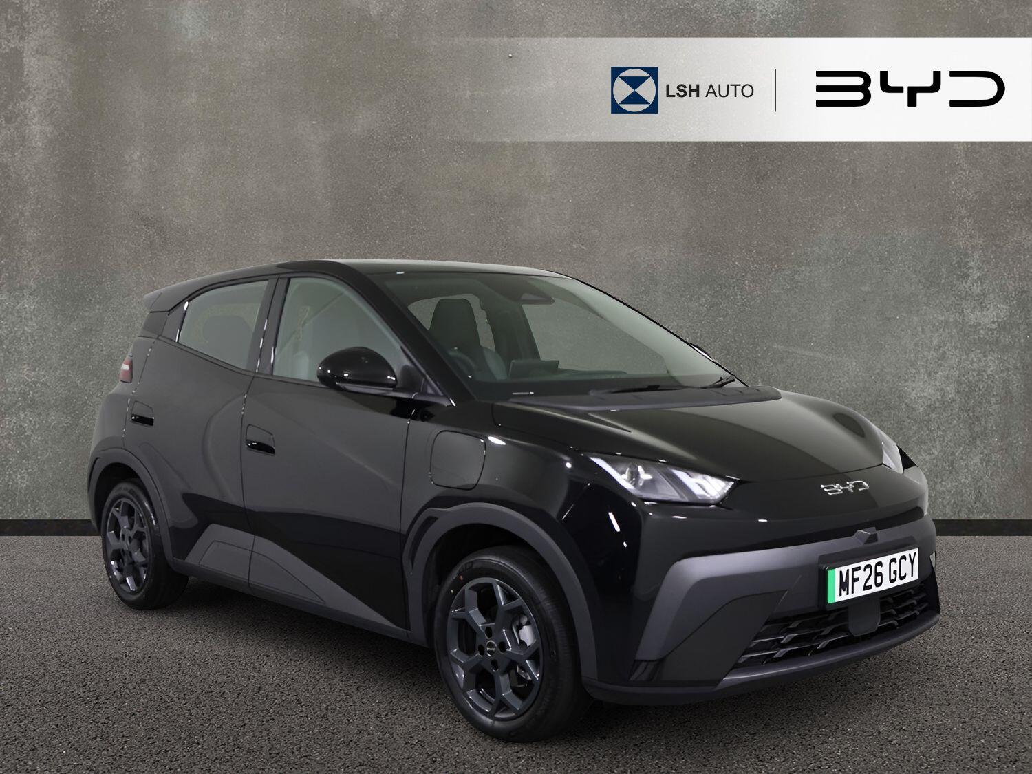 BYD Dolphin Surf