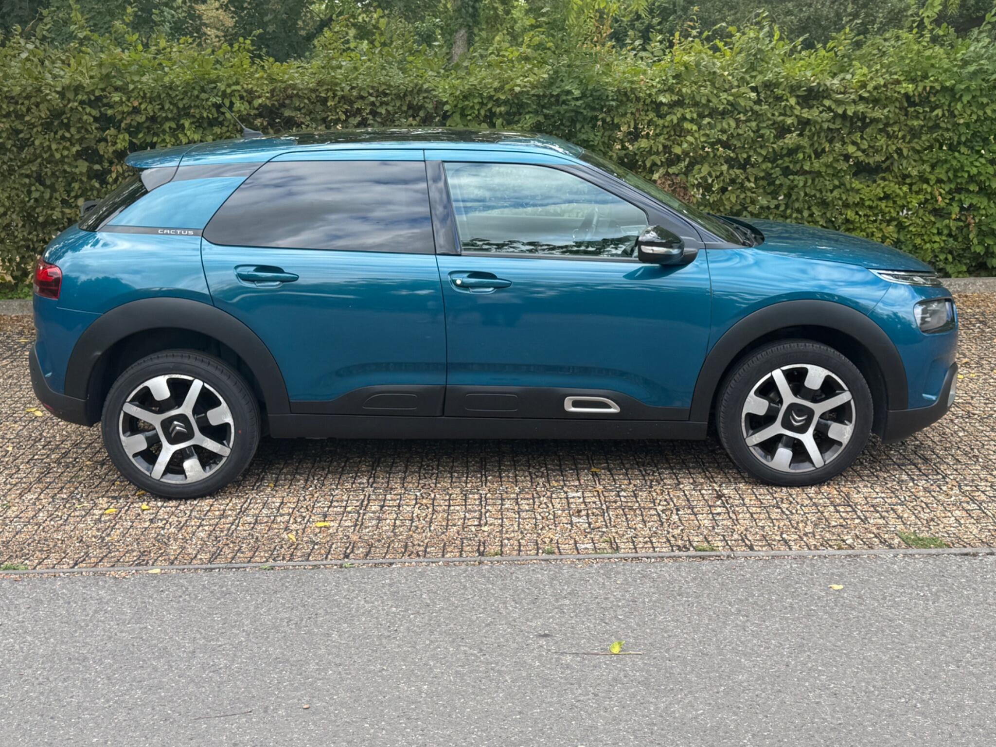 Citroen C4 Cactus view 33