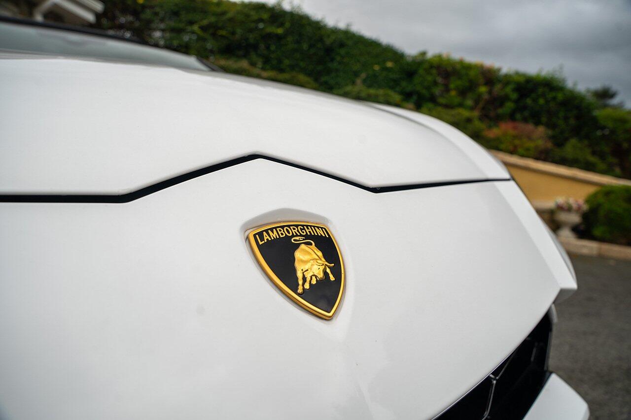 Lamborghini Urus view 30