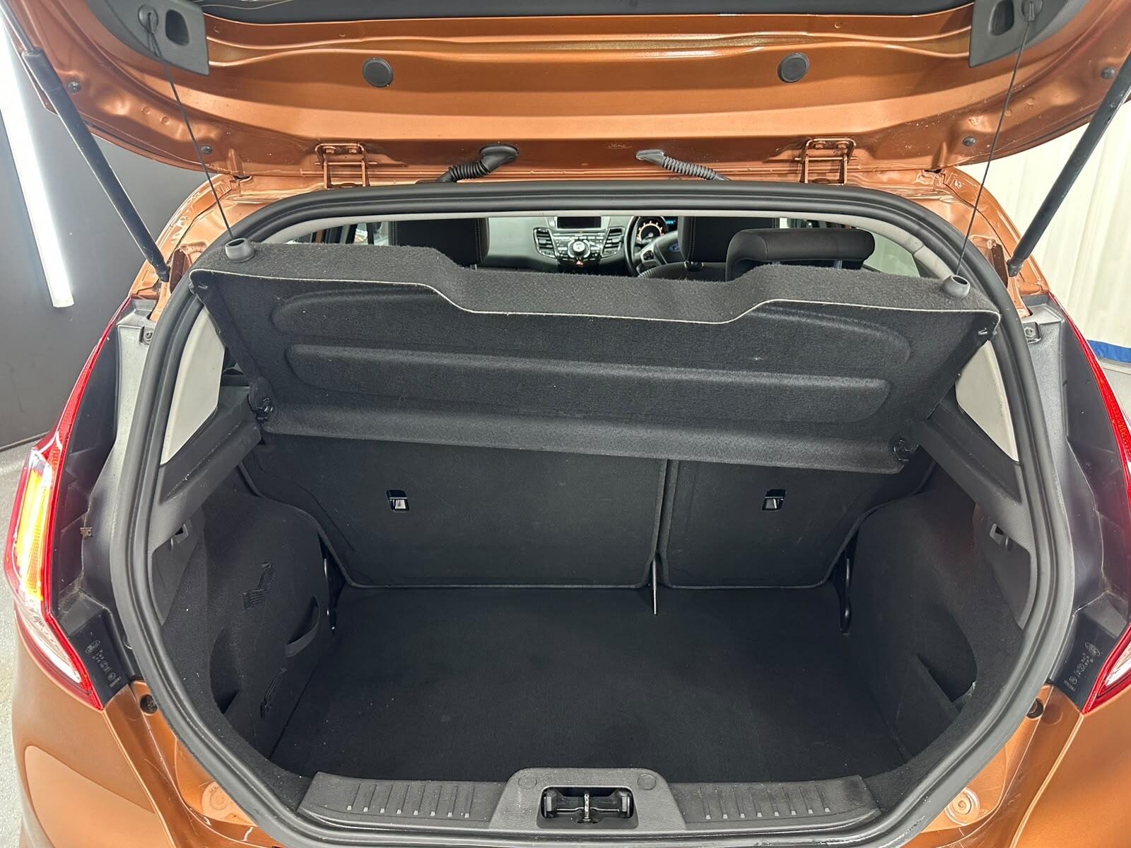 Ford Fiesta view 18